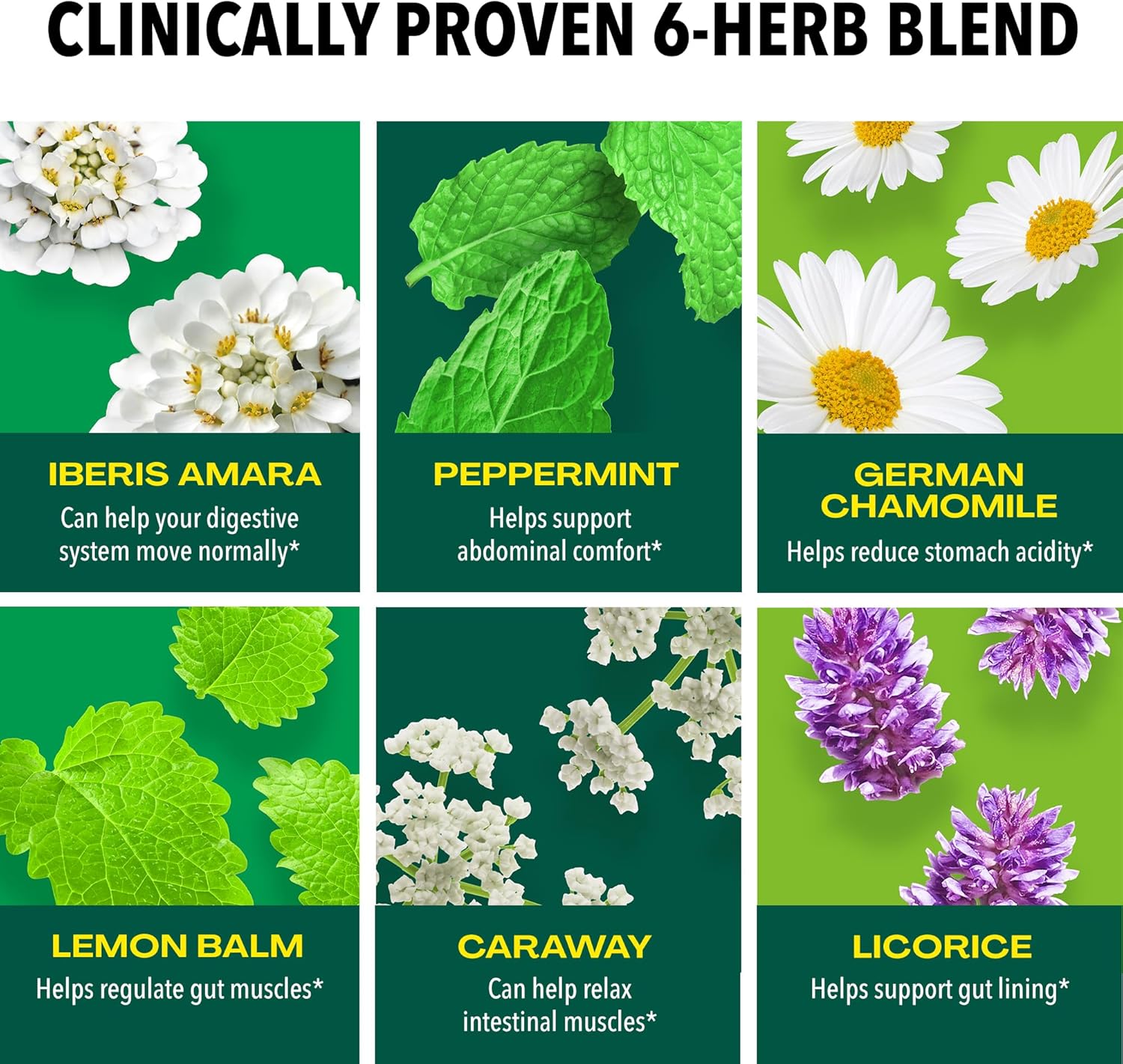 herbal-relief-liquid-drops-for-stomach-upsets---6-herb-blend-with-iberis-amara-peppermint-licorice---gluten-free---50ml-4