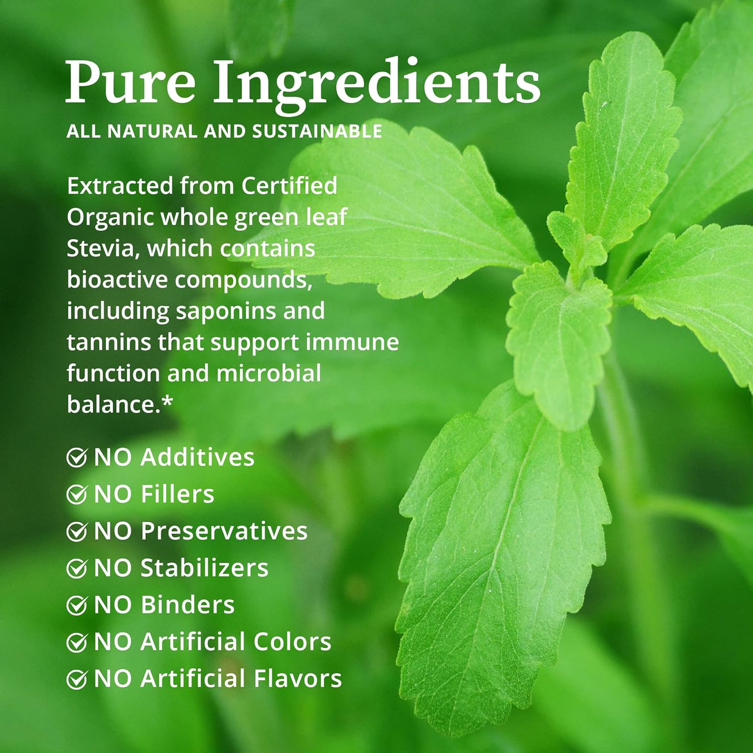 Certified Organic BioPure Stevia Extract Tincture - Immune Support & Gut Health - 2 fl oz - Espot.com.au