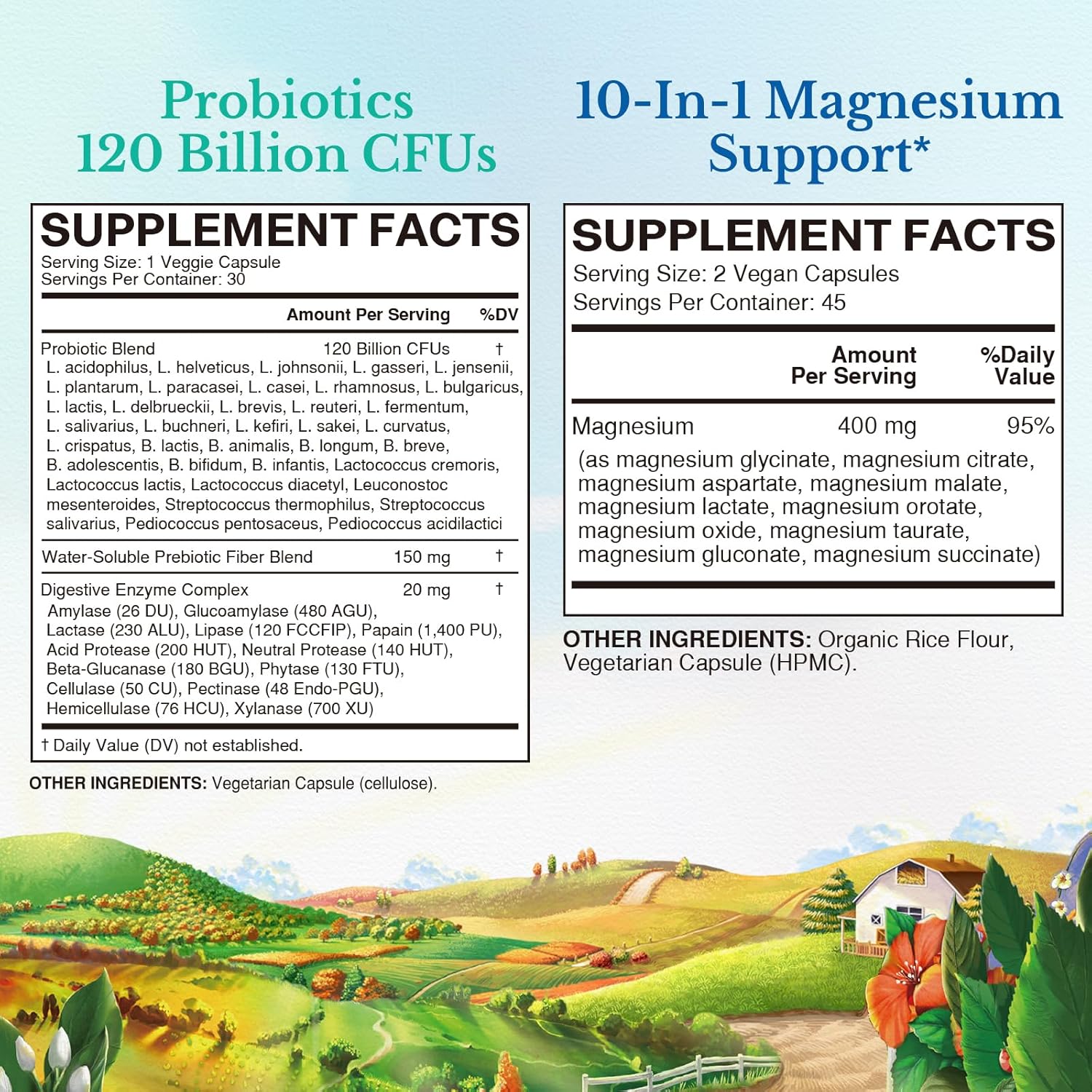 bundle-probiotic-magnesium-for-gut-bone-muscle-sleep-health---120-billion-probiotics-6-in-1-magnesium-complex---vegan---30-120-capsules-2