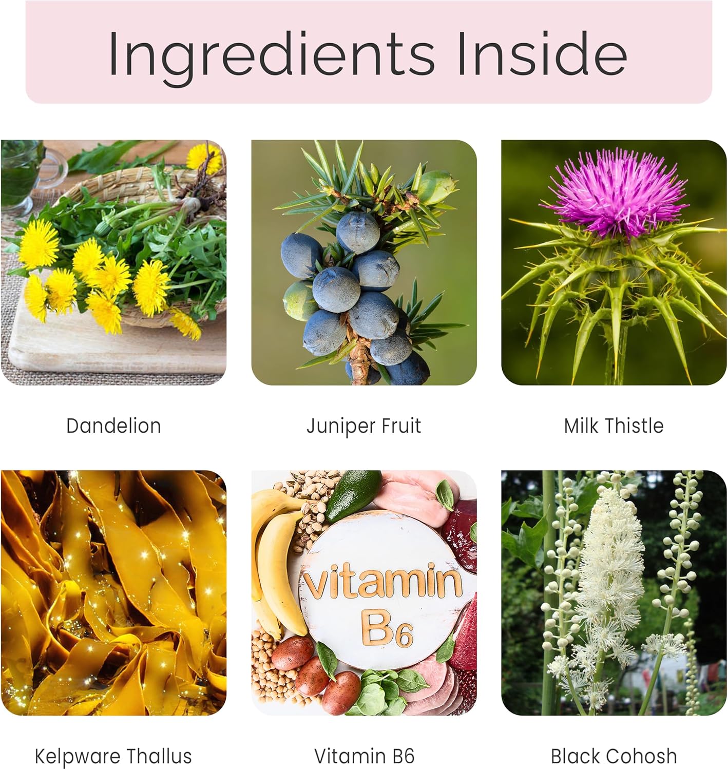 diuretic-pills-for-women---reduce-water-retention-bloating---pms-relief---60-vegan-capsules-5