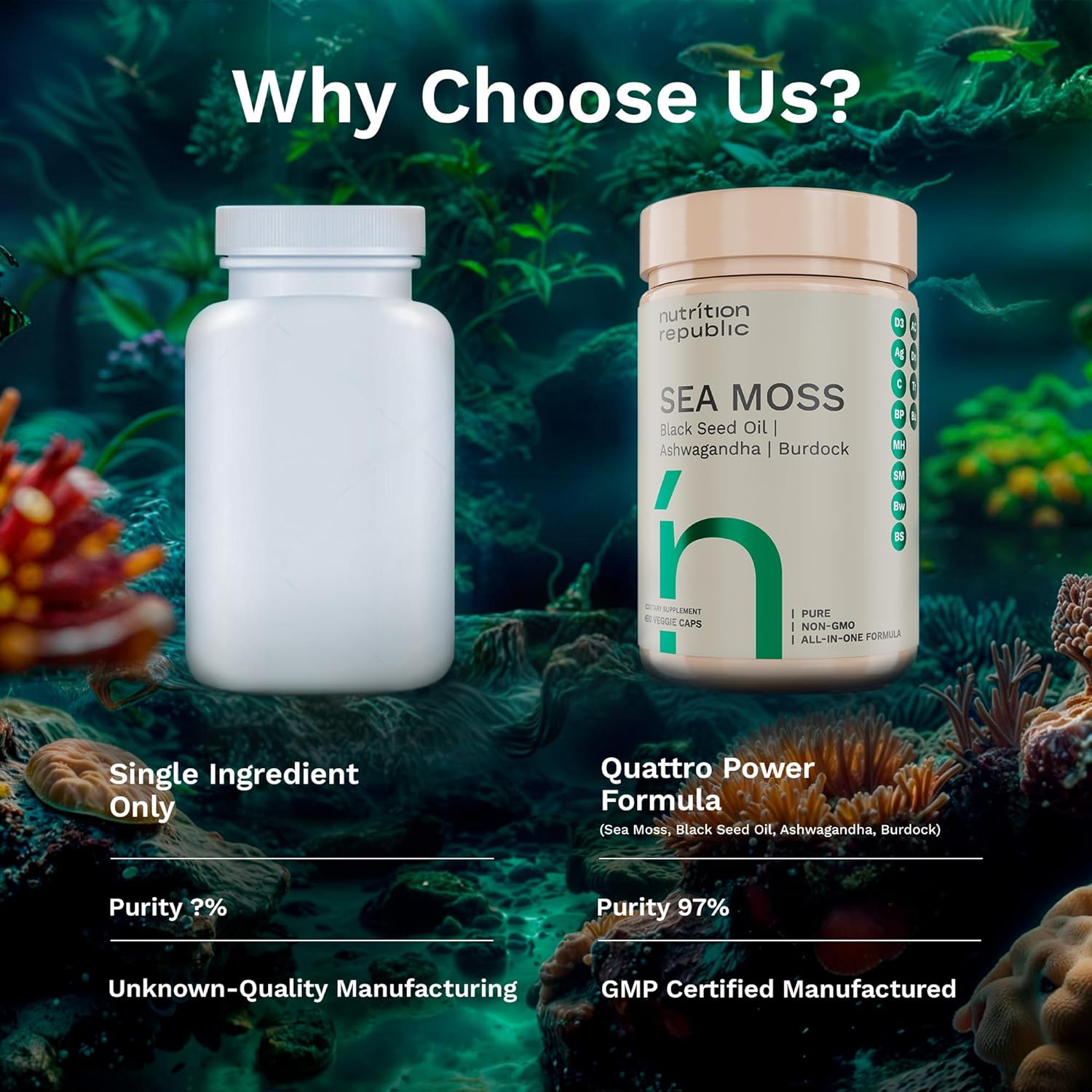 sea-moss-supplement-capsules-with-black-seed-oil-ashwagandha-burdock-root-vitamin-c---60-veggie-capsules-for-multimineral-support-8