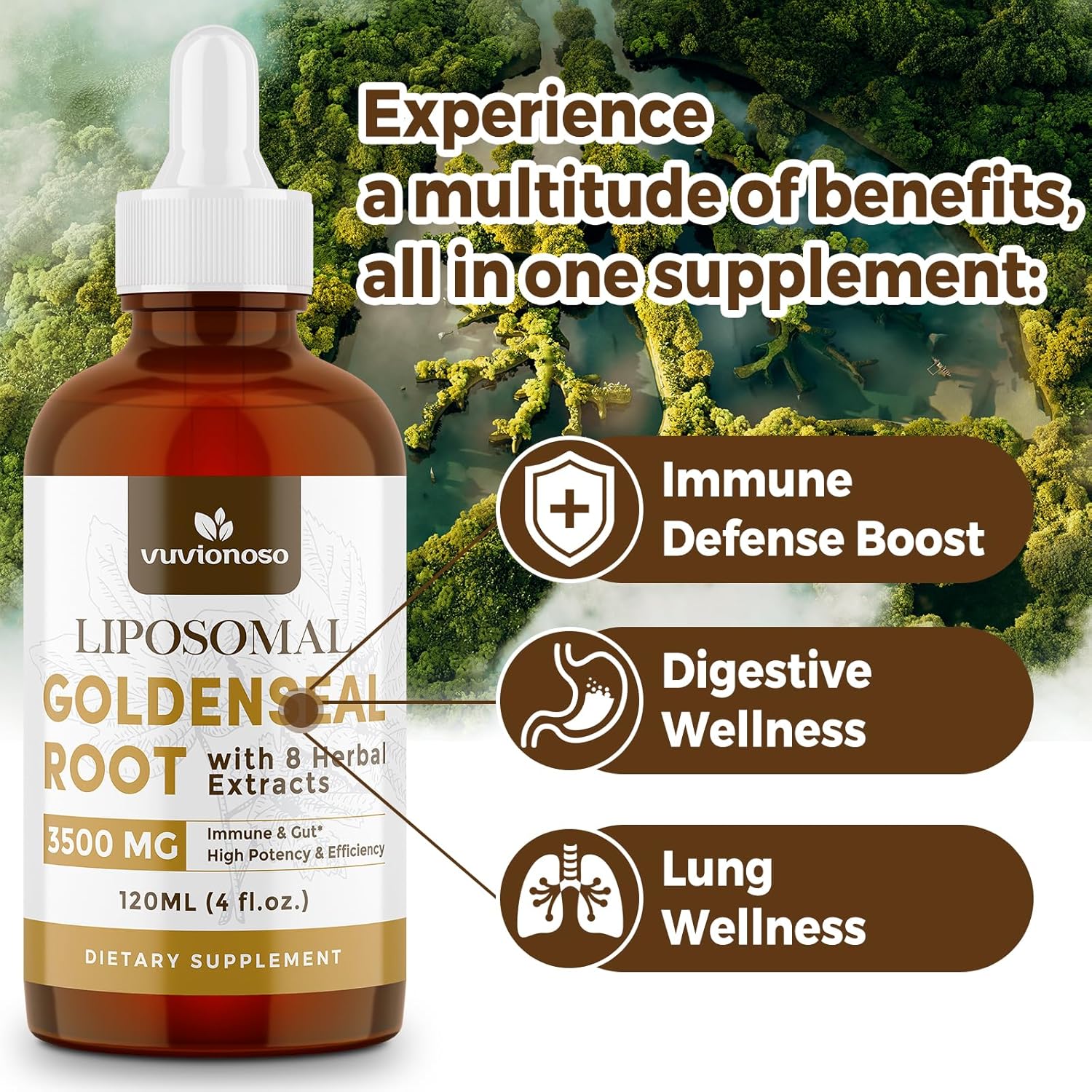 goldenseal-root-liquid-extract-for-immune-support-lung-health---3000mg-tincture---sugar-free-vegan---fast-absorbing-echinacea-goldenseal-blend---120ml-x-2-pack-2