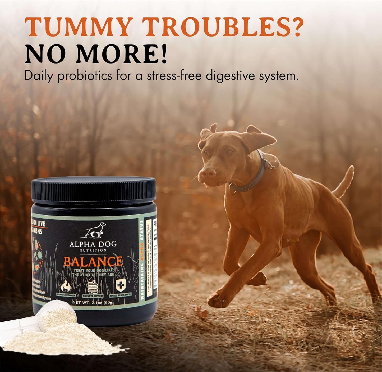 alpha-dog-nutrition-balance-probiotic-blend-for-canines---gut-health-supplement-with-probiotics-and-prebiotics-3