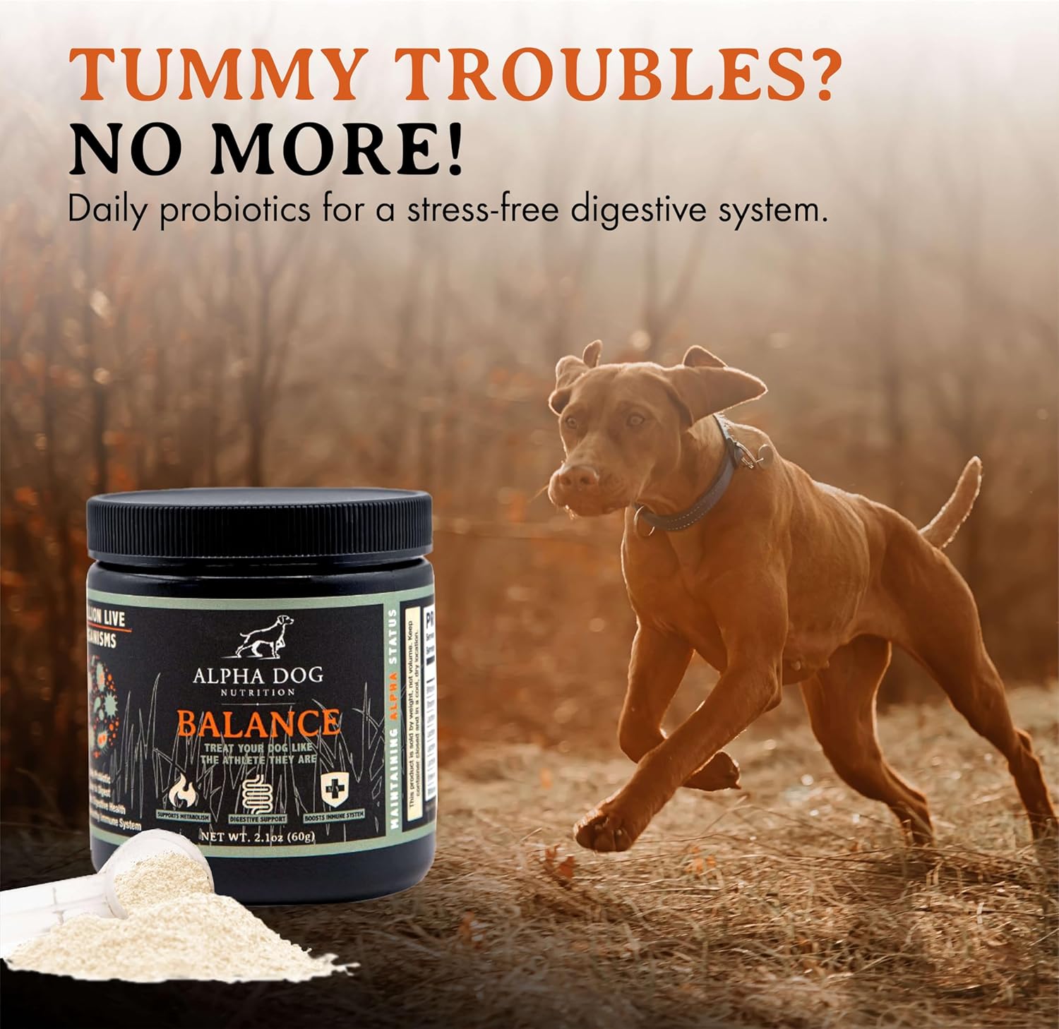 alpha-dog-nutrition-balance-probiotic-blend-for-canines---gut-health-supplement-with-probiotics-and-prebiotics-3
