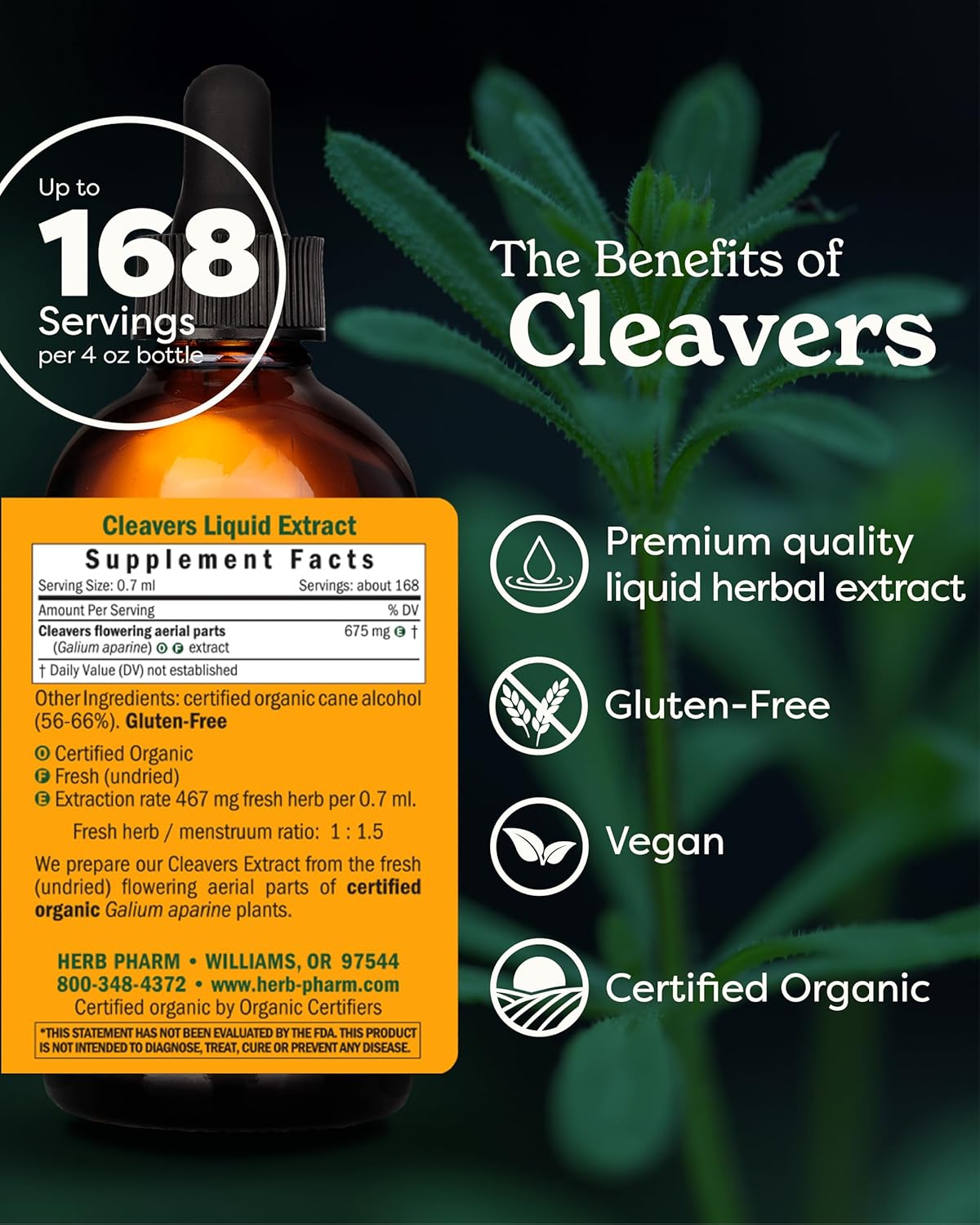 herb-pharm-cleavers-liquid-extract---4-oz---natural-herbal-supplement-for-detoxification-and-lymphatic-system-support-2