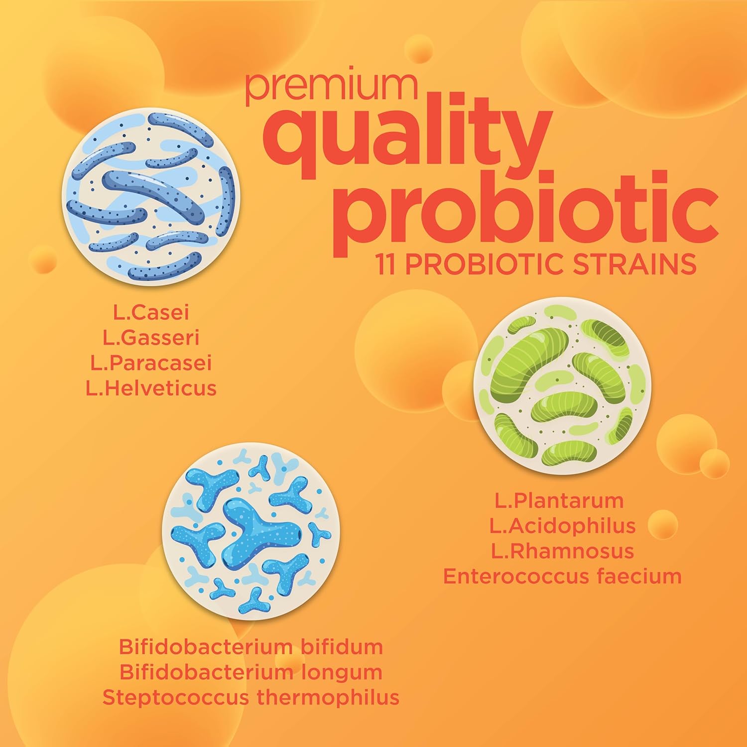 chewable-probiotic-for-digestive-health-immune-support---men-women-non-gmo-gluten-soy-free-5-billion-cfu-30-tablets---orange-flavor-4