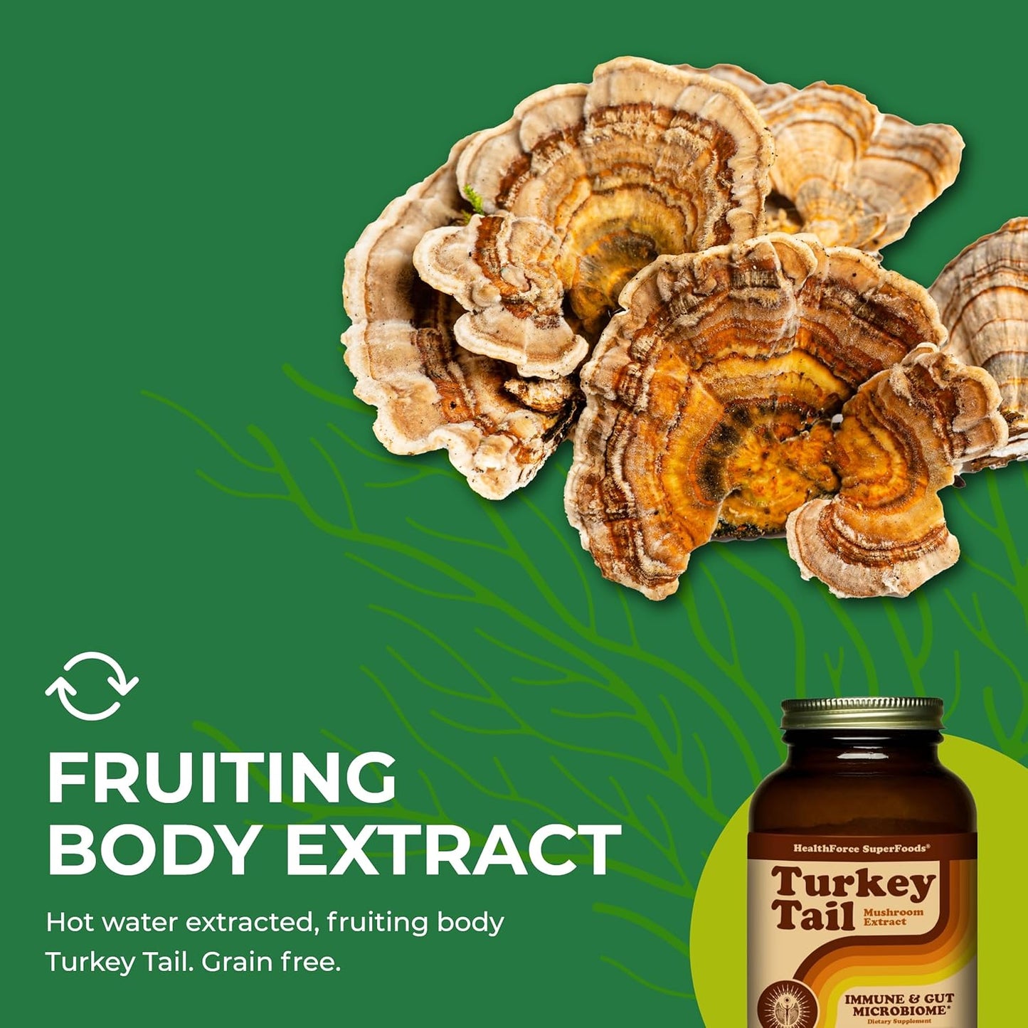 organic-turkey-tail-mushroom-powder---150g---healthforce-superfoods-6