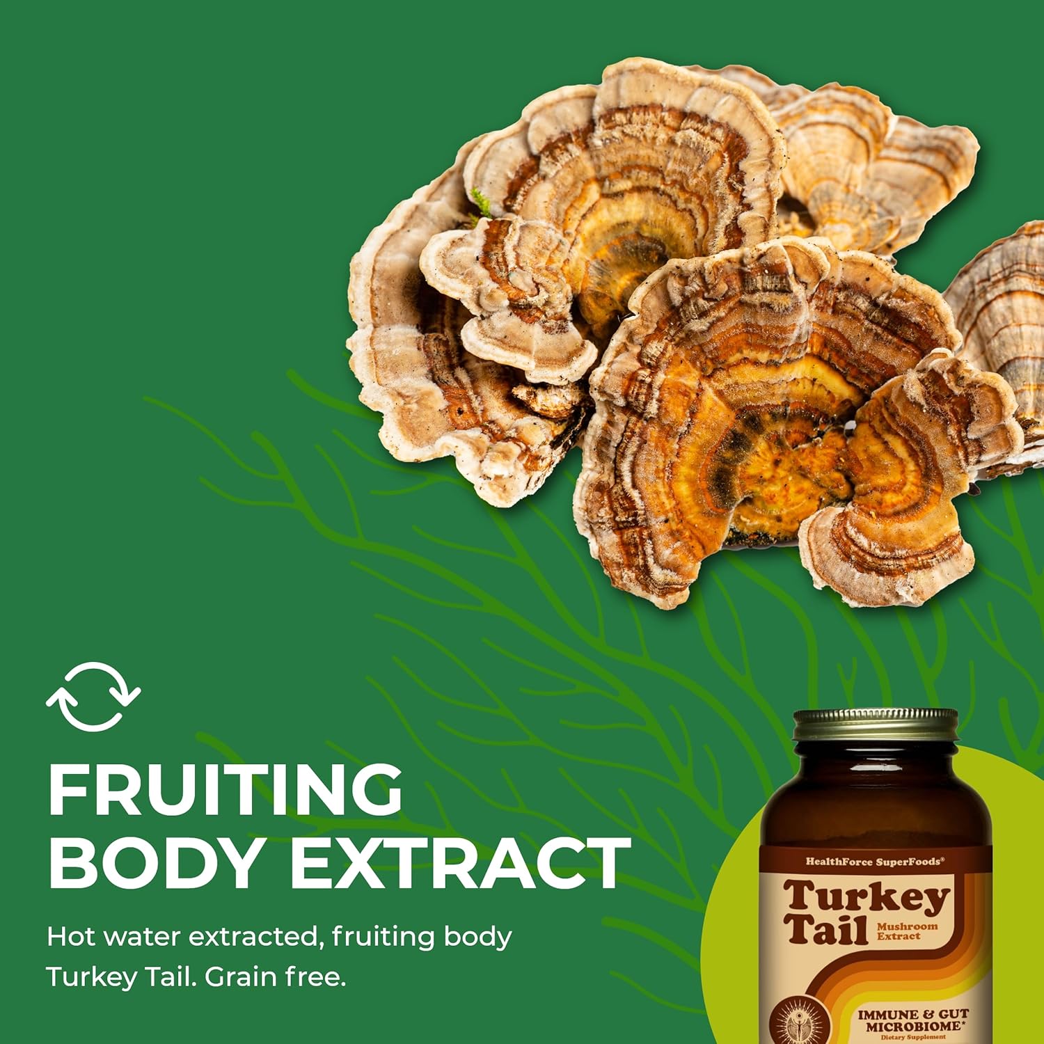 organic-turkey-tail-mushroom-powder---150g---healthforce-superfoods-6