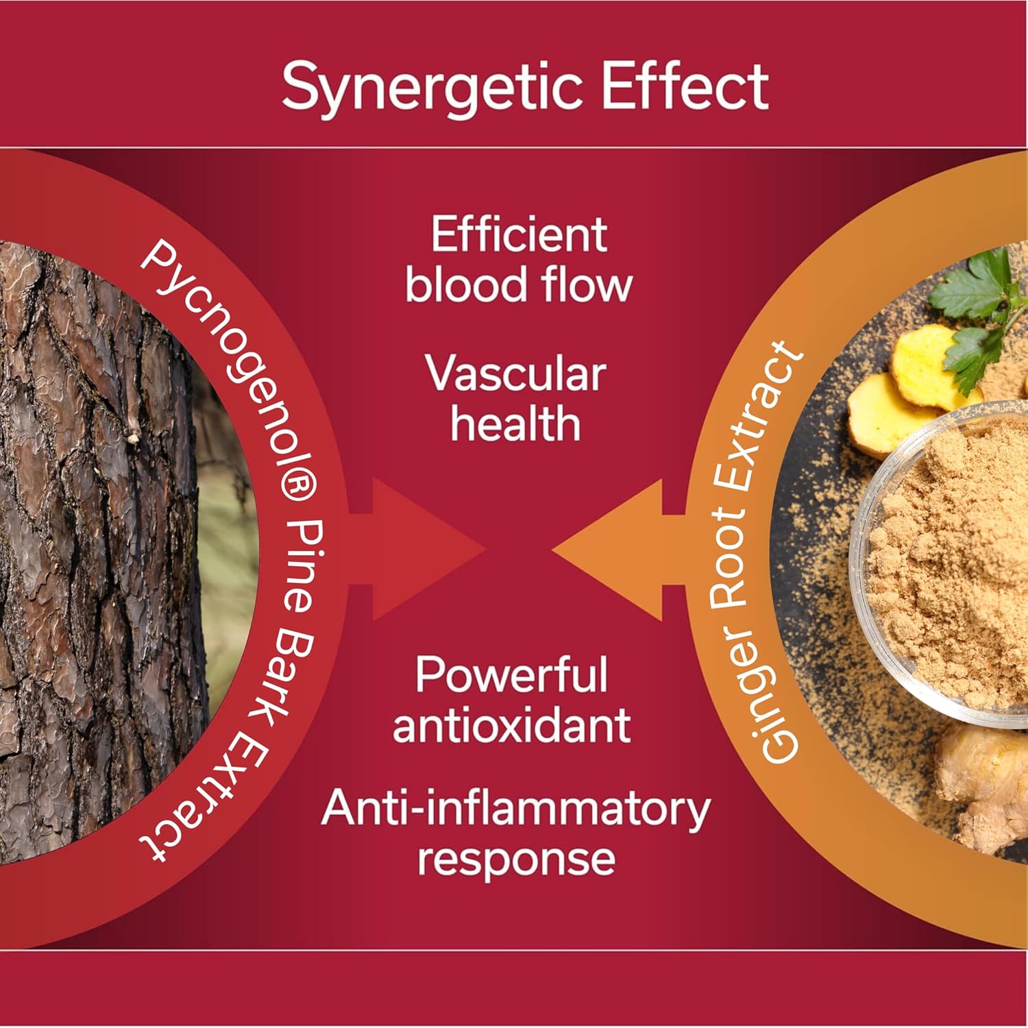 fast-acting-long-haul-circulation-support-capsules-with-pycnogenol-ginger-root-extract---reduce-swelling-discomfort-support-blood-flow-inflammation---10-veg-caps-4