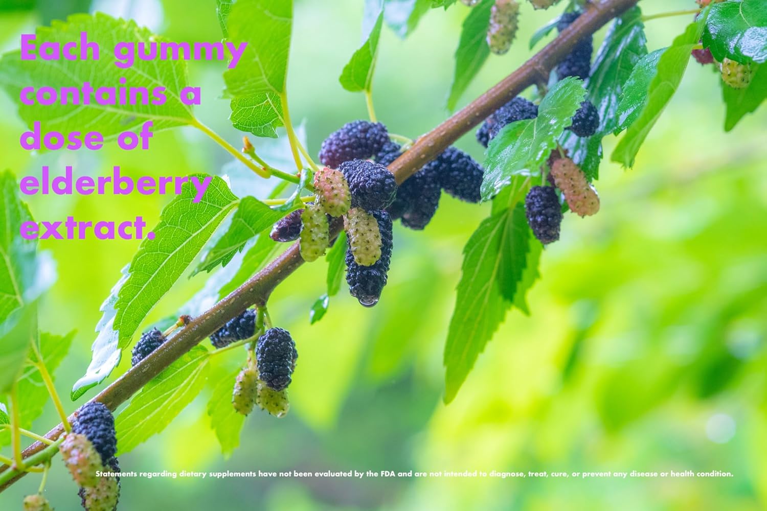 california-vitality-elderberry-gummies---197mg-per-serving-60-gummies---with-vitamin-c-zinc---usa-made-vegan-non-gmo-8