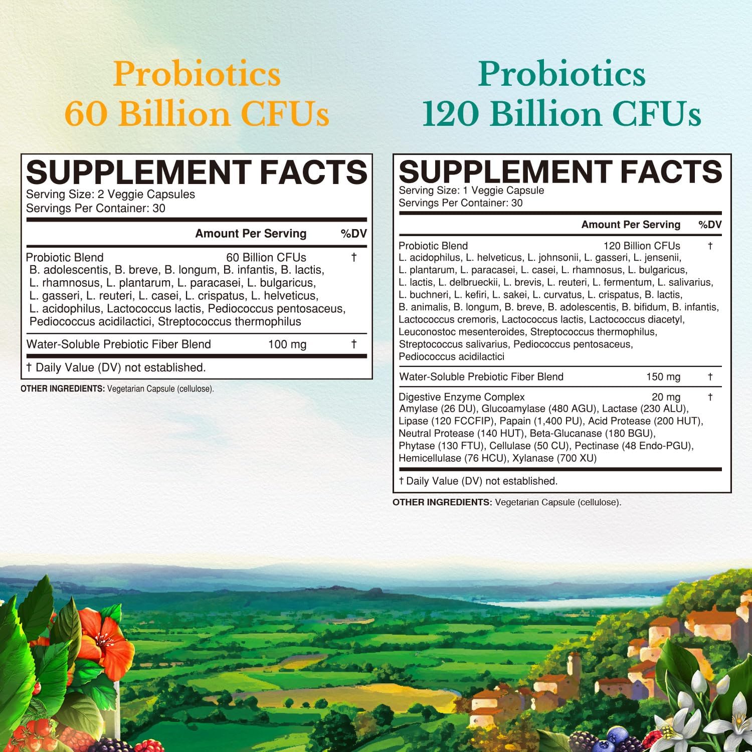 vitalitown-probiotic-bundle---60-billion-120-billion-cfus---30-day-supply---shelf-stable-for-digestive-immune-health-2