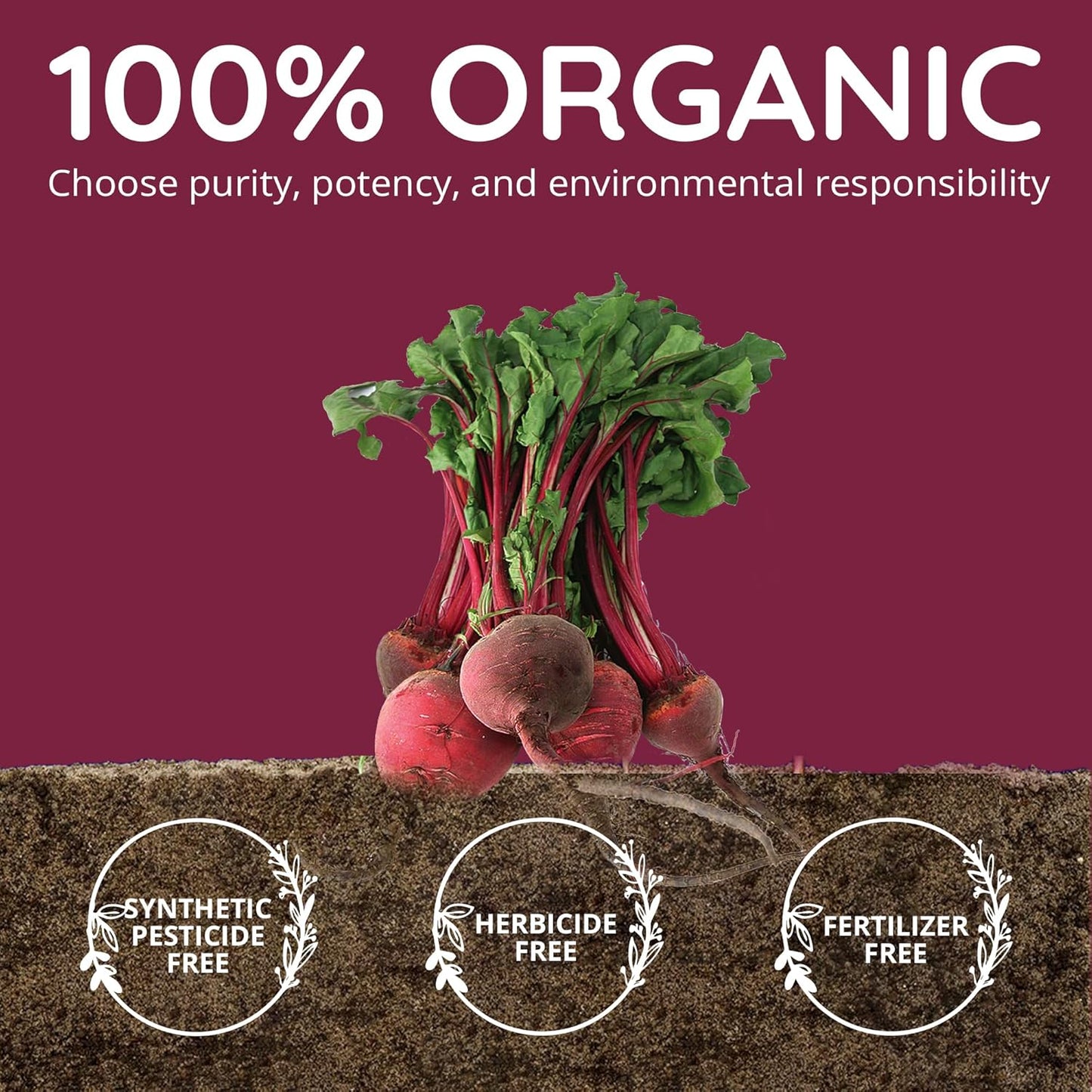 organic-beet-root-capsules-1300mg-superfood---blood-pressure-circulation-support---nitric-oxide-supplement-for-men-women---antioxidant-brain-food---vegan---60-ct-3