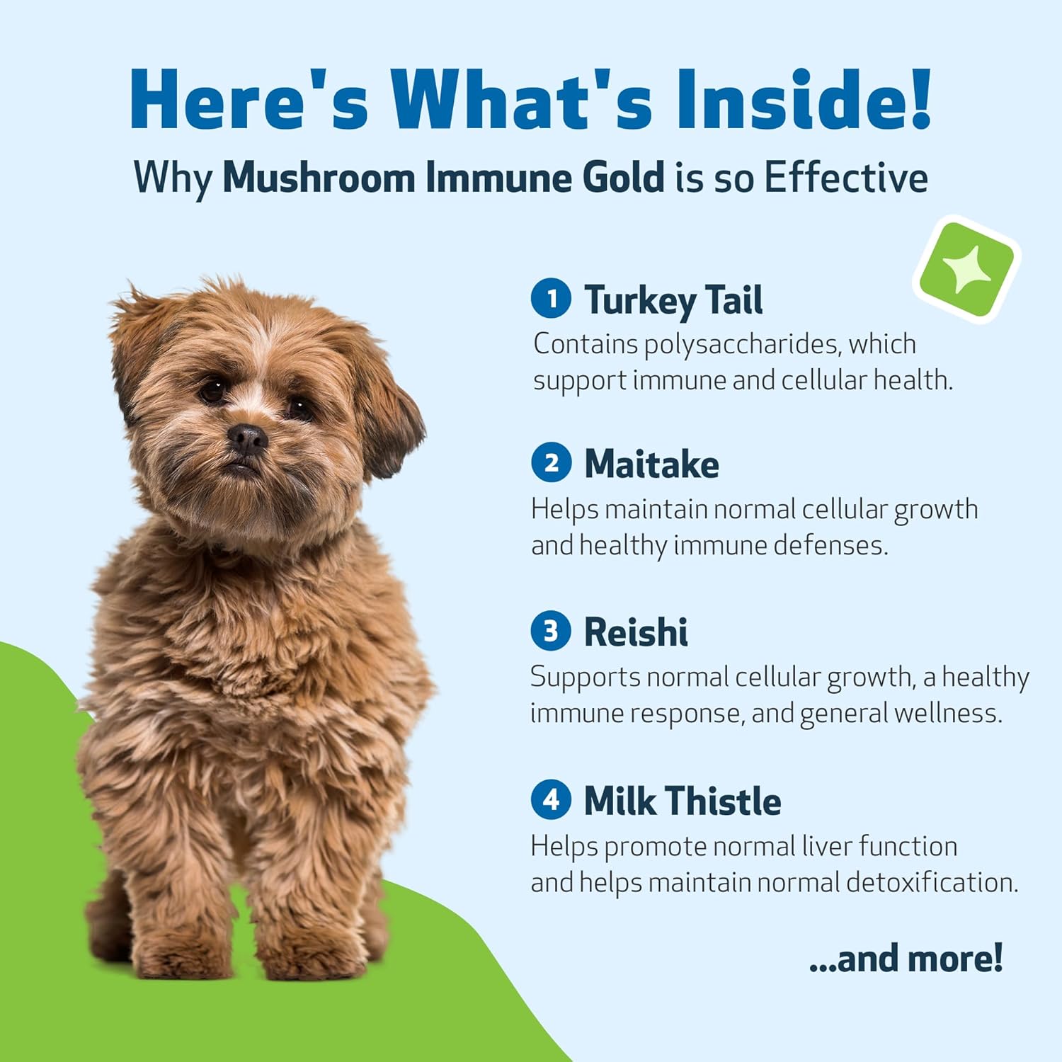 natural-mushroom-immune-support-for-dogs-and-cats---pet-wellbeing-immune-gold---8oz-bottle---boost-your-pets-immune-system-6