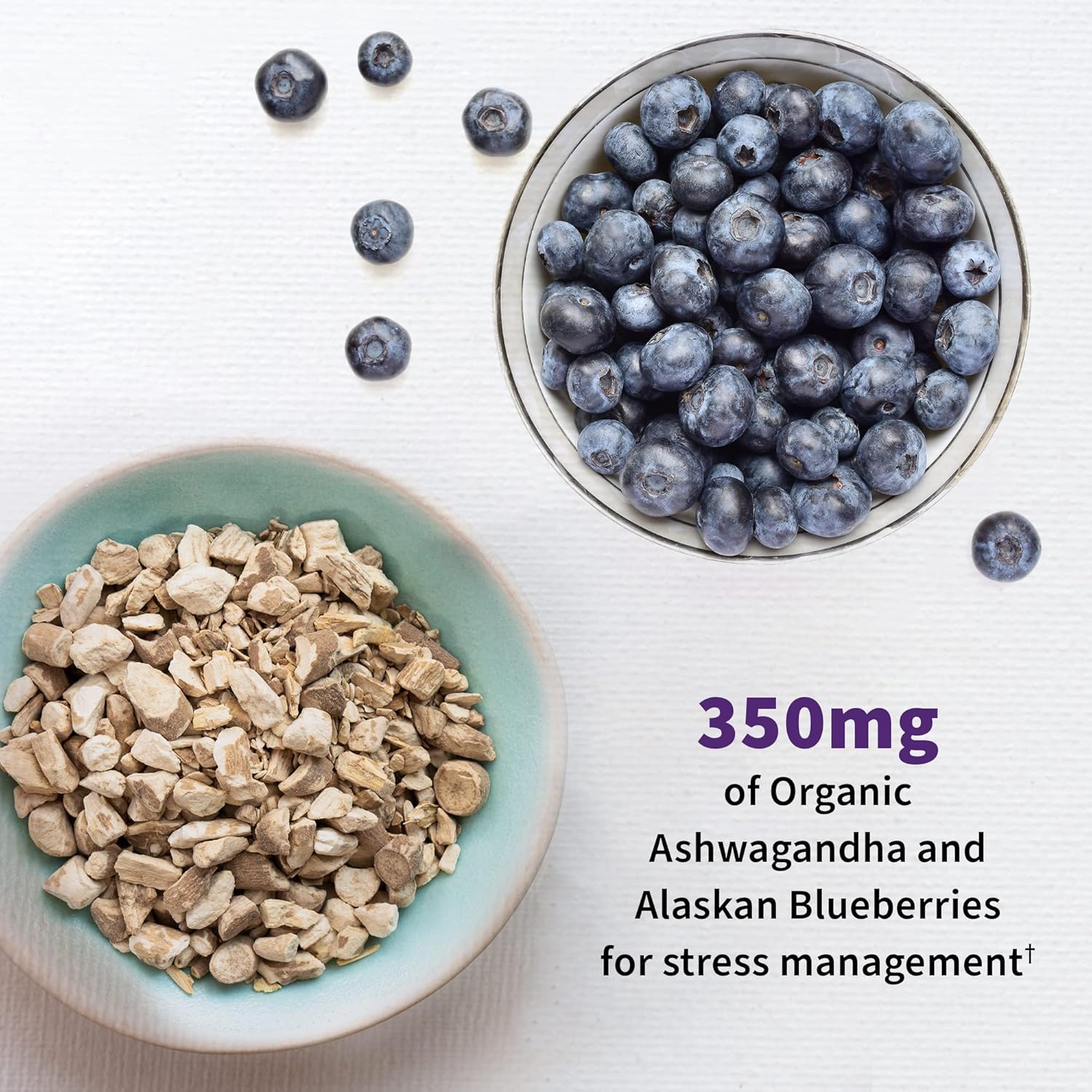 dr-formulated-probiotic-supplement-for-emotional-well-being-with-ashwagandha---garden-of-life-probiotics-mood-60-veggie-caps-4