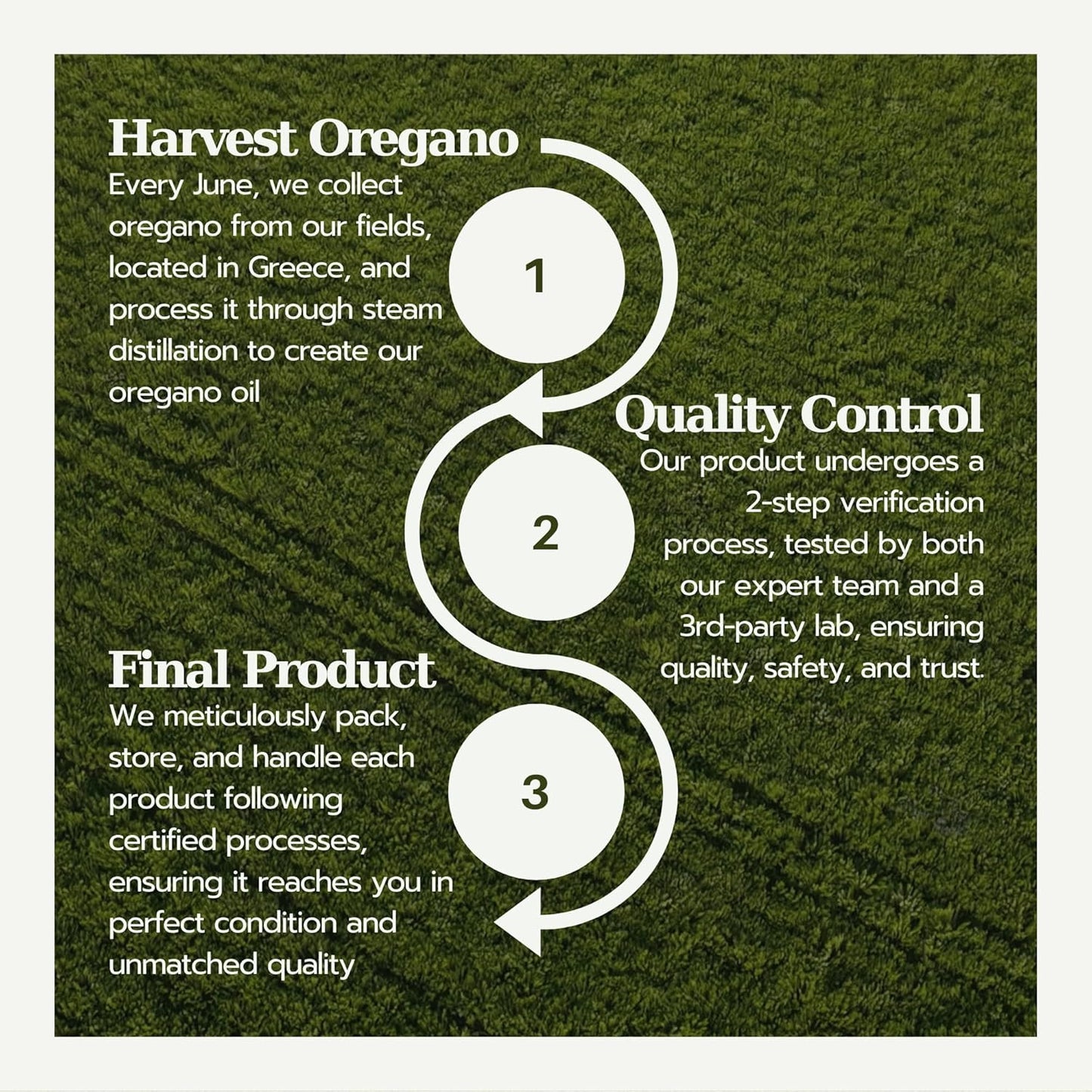 fungifix-total-nail-repair-with-oil-of-oregano-tea-tree-oil-and-vitamin-e---enhances-toenail-and-fingernail-appearance-promotes-nail-recovery-vegan-1-fl-oz-6