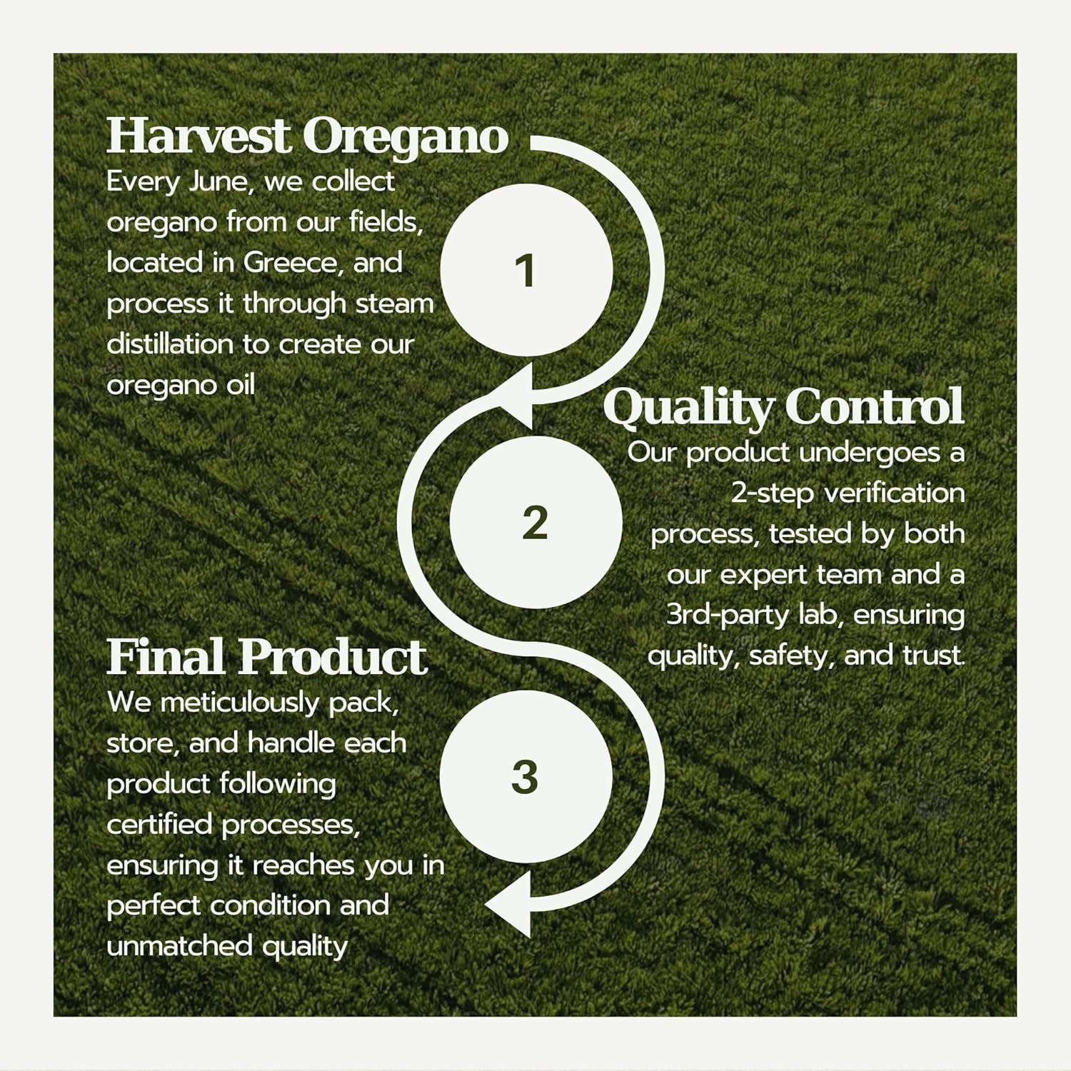 fungifix-total-nail-repair-with-oil-of-oregano-tea-tree-oil-and-vitamin-e---enhances-toenail-and-fingernail-appearance-promotes-nail-recovery-vegan-1-fl-oz-6