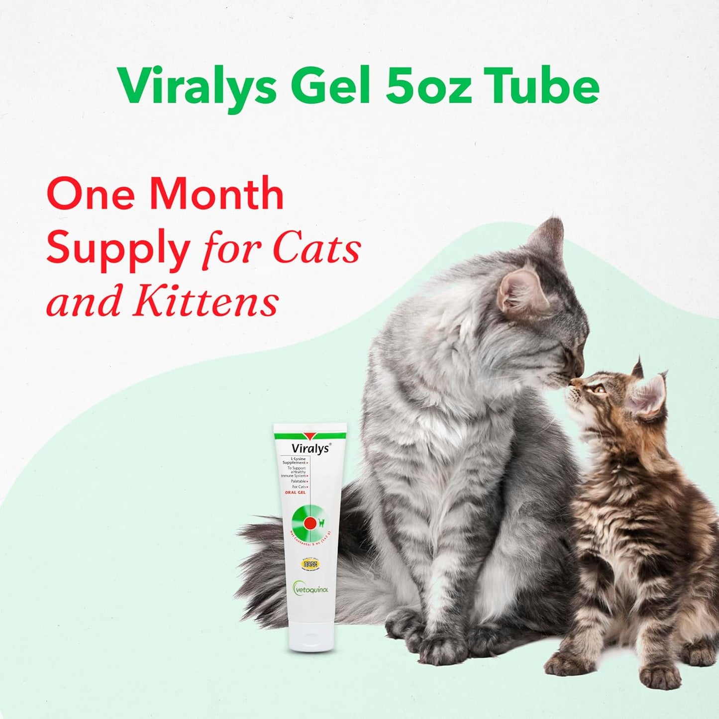 vetoquinol-viralys-gel-l-lysine-supplement-for-cats---5oz-maple-flavored-gel---supports-immune-health-allergies-runny-nose-watery-eyes---cats-kittens-of-all-ages-6