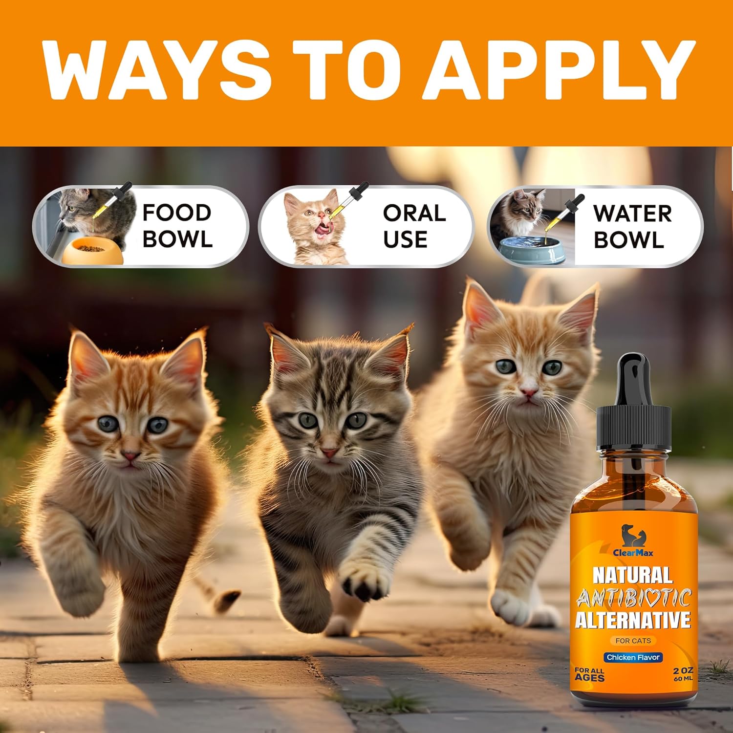 natural-antibiotics-for-cats---herbal-supplement-for-infections-utis-cough-allergies---supports-digestion-hips-joints---chicken-flavor---2-oz-4
