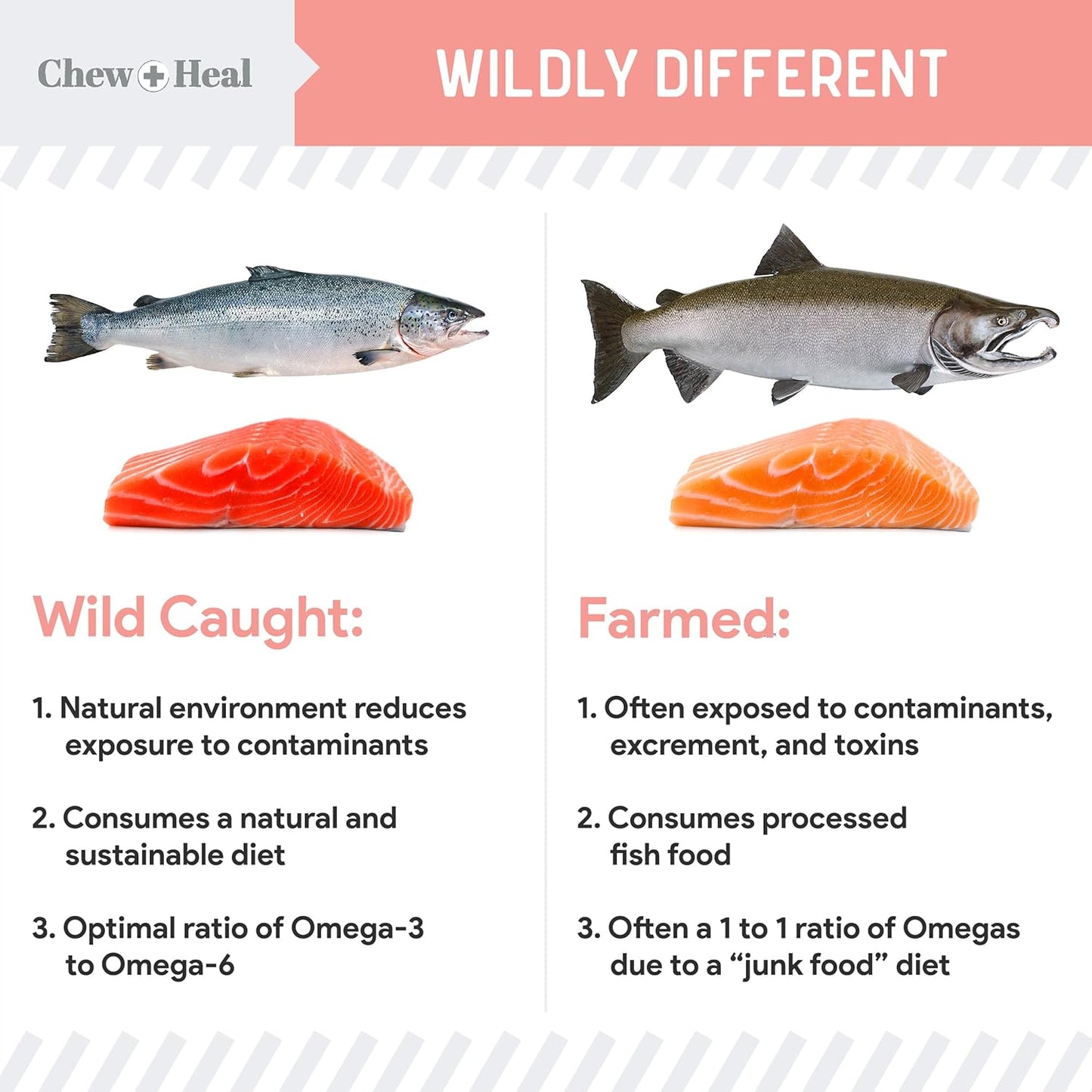 wild-alaskan-salmon-fish-oil-for-dogs---32-oz-pump-cap-bottle---omega-3-vitamin-d-epa-dha-for-healthy-skin-coat-5