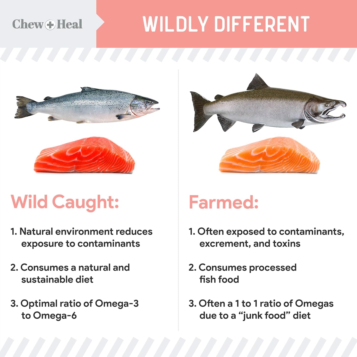 wild-alaskan-salmon-fish-oil-for-dogs---32-oz-pump-cap-bottle---omega-3-vitamin-d-epa-dha-for-healthy-skin-coat-5