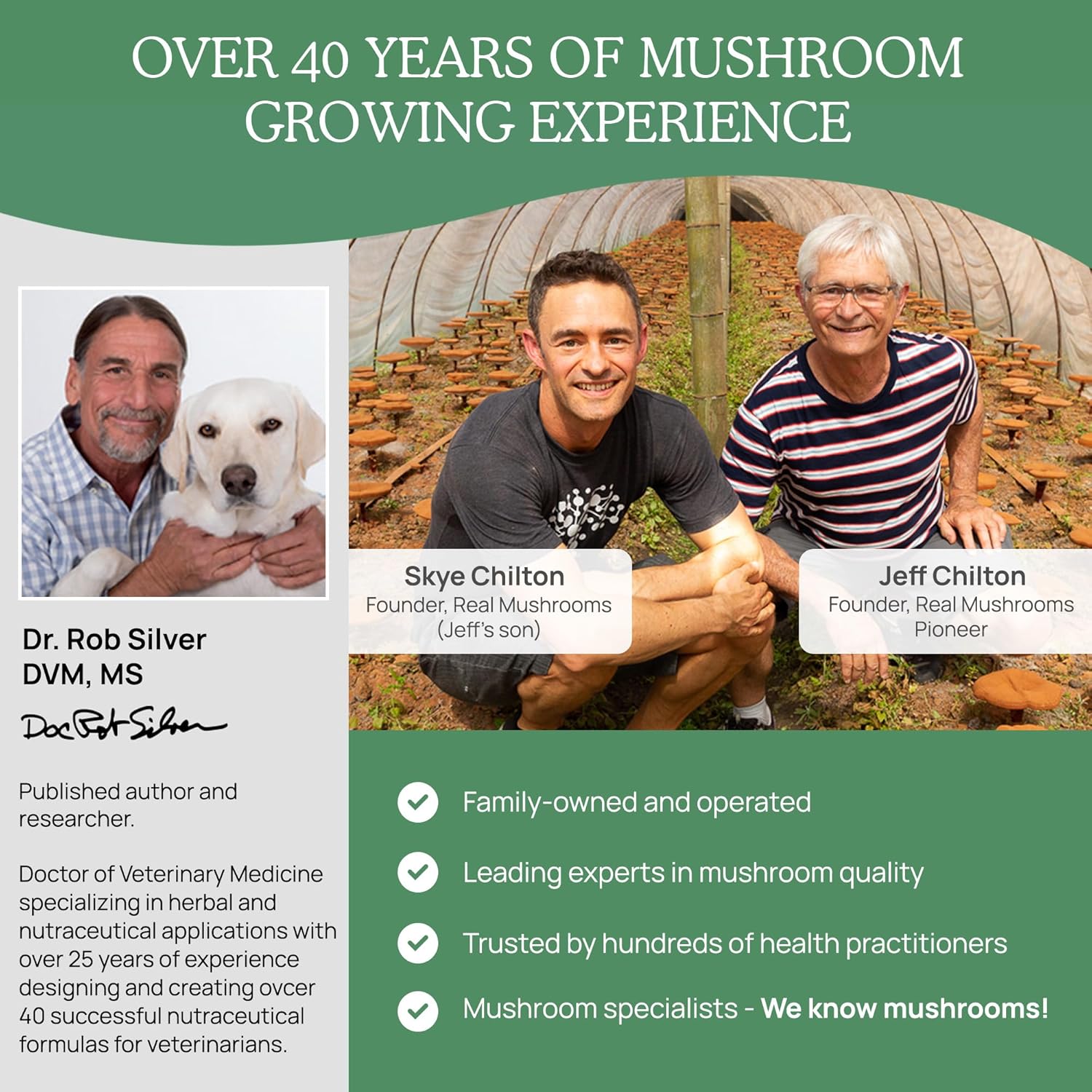bundle-of-5-defenders-mushroom-capsules-for-humans-and-pets---immune-strength-and-wellbeing---chaga-shiitake-maitake-turkey-tail-reishi---vegan-non-gmo---200ct-90ct-9