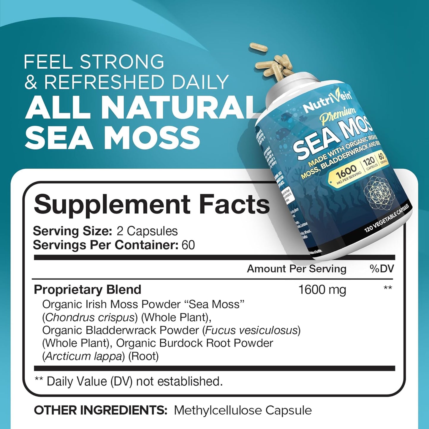 premium-irish-sea-moss-berberine-and-ashwagandha-capsules-bundle-for-digestion-balance---high-absorption-berberine-hcl-ashwagandha-root-extract-sea-moss-supplements-3