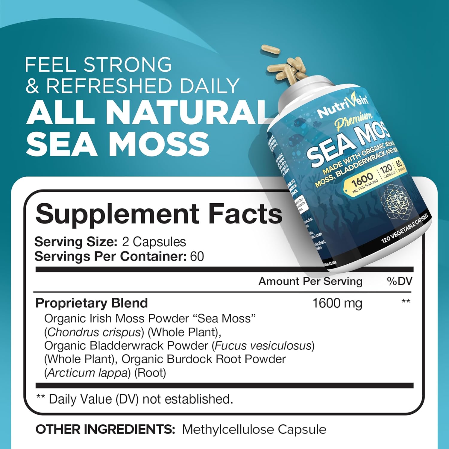 premium-irish-sea-moss-berberine-and-ashwagandha-capsules-bundle-for-digestion-balance---high-absorption-berberine-hcl-ashwagandha-root-extract-sea-moss-supplements-3