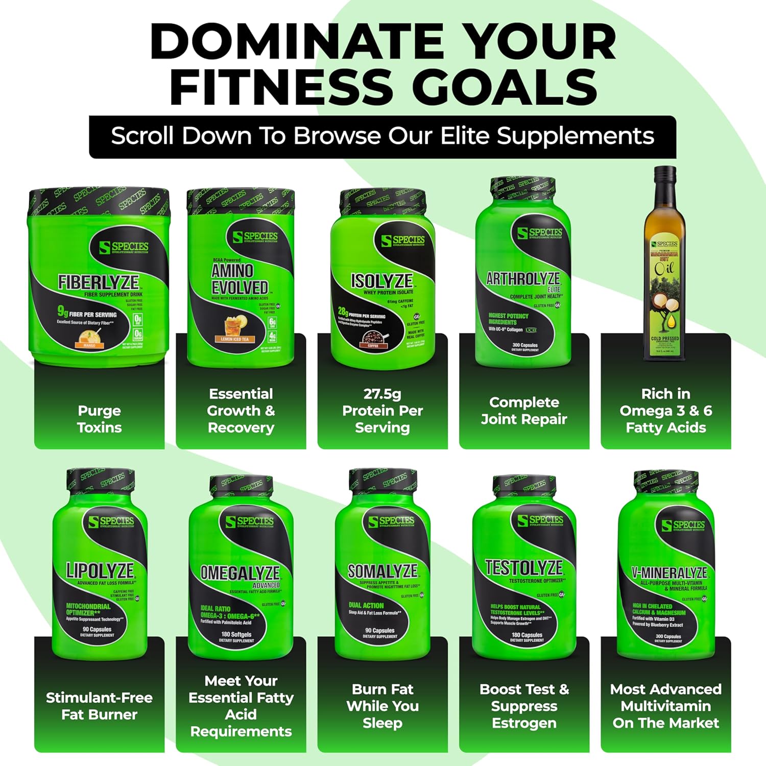 fermented-bcaa-eaa-powder-for-muscle-recovery-endurance---blue-raspberry-flavor---pre-post-workout-supplement---30-servings-6