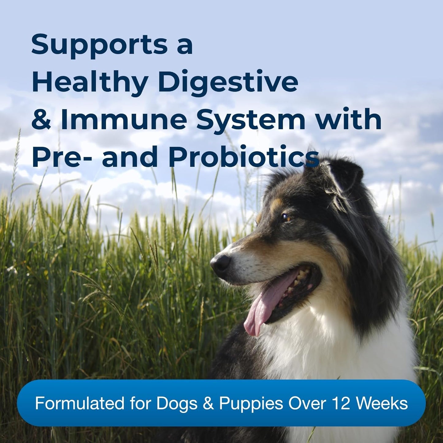 petag-nutri-mixer-digestive-milk-based-food-topper-for-dogs-puppies-12-oz---supports-digestion-in-pets-12-weeks-and-older-3