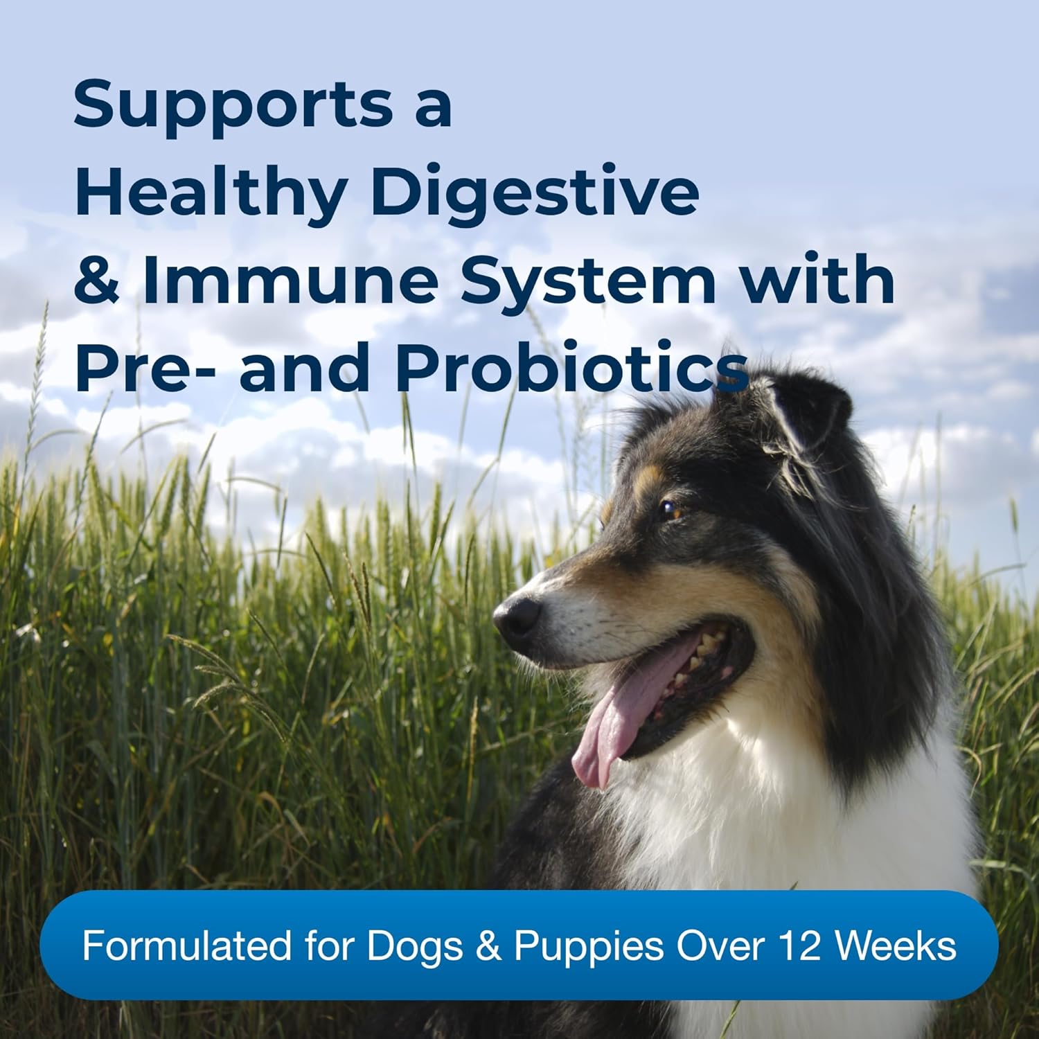 petag-nutri-mixer-digestive-milk-based-food-topper-for-dogs-puppies-12-oz---supports-digestion-in-pets-12-weeks-and-older-3