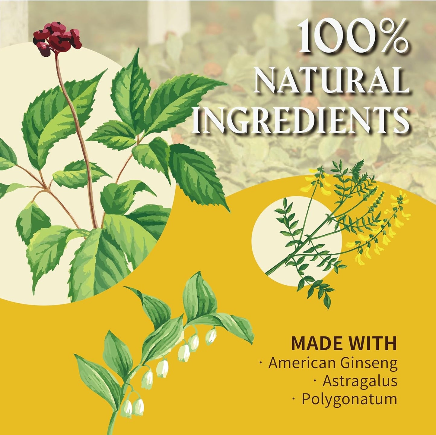 american-ginseng-tea-for-energy-focus---respiratory-support-vegan-gluten-free-no-artificial-additives-caffeine-sugar-free---10-bags-4