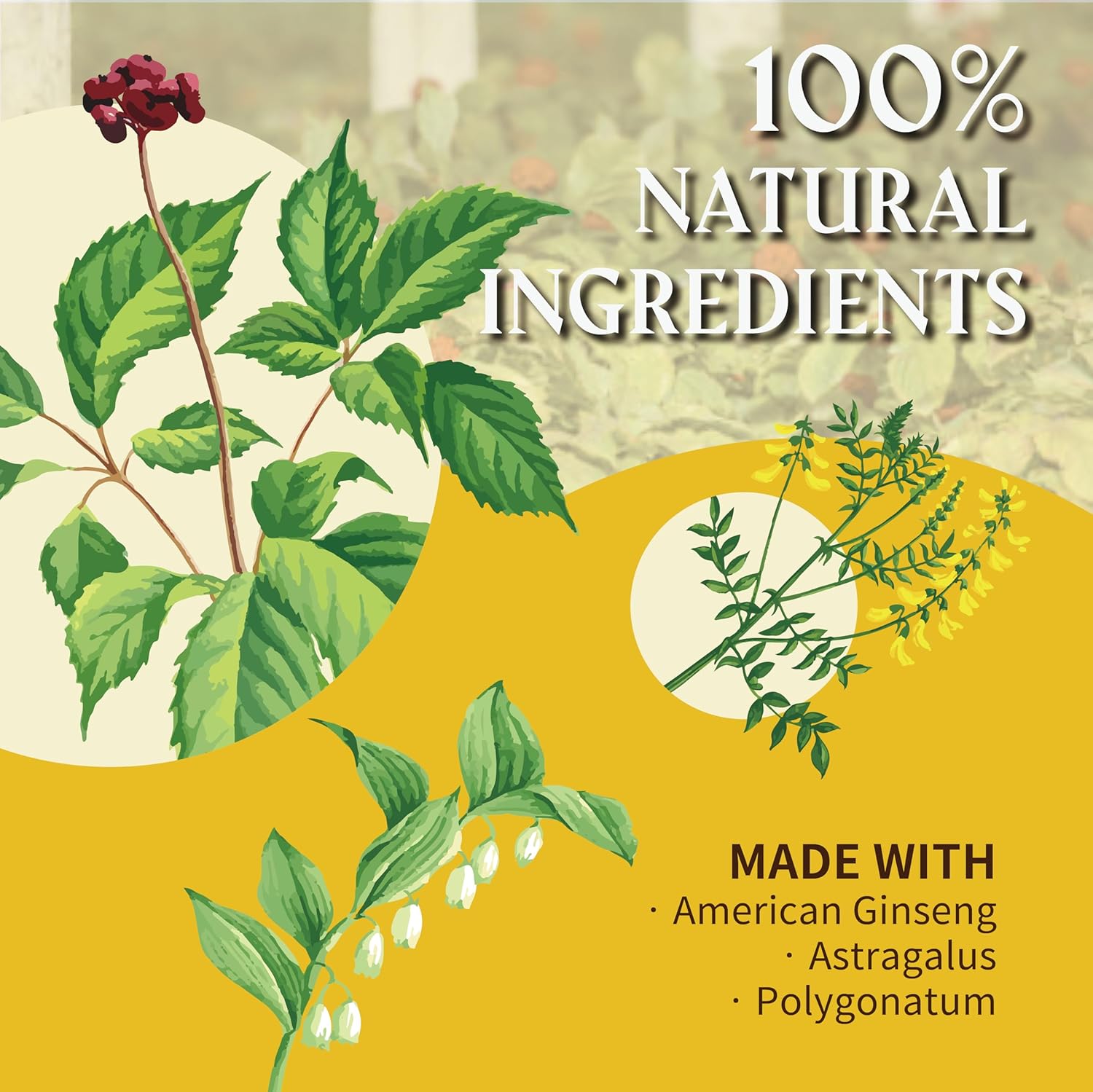 american-ginseng-tea-for-energy-focus---respiratory-support-vegan-gluten-free-no-artificial-additives-caffeine-sugar-free---10-bags-4