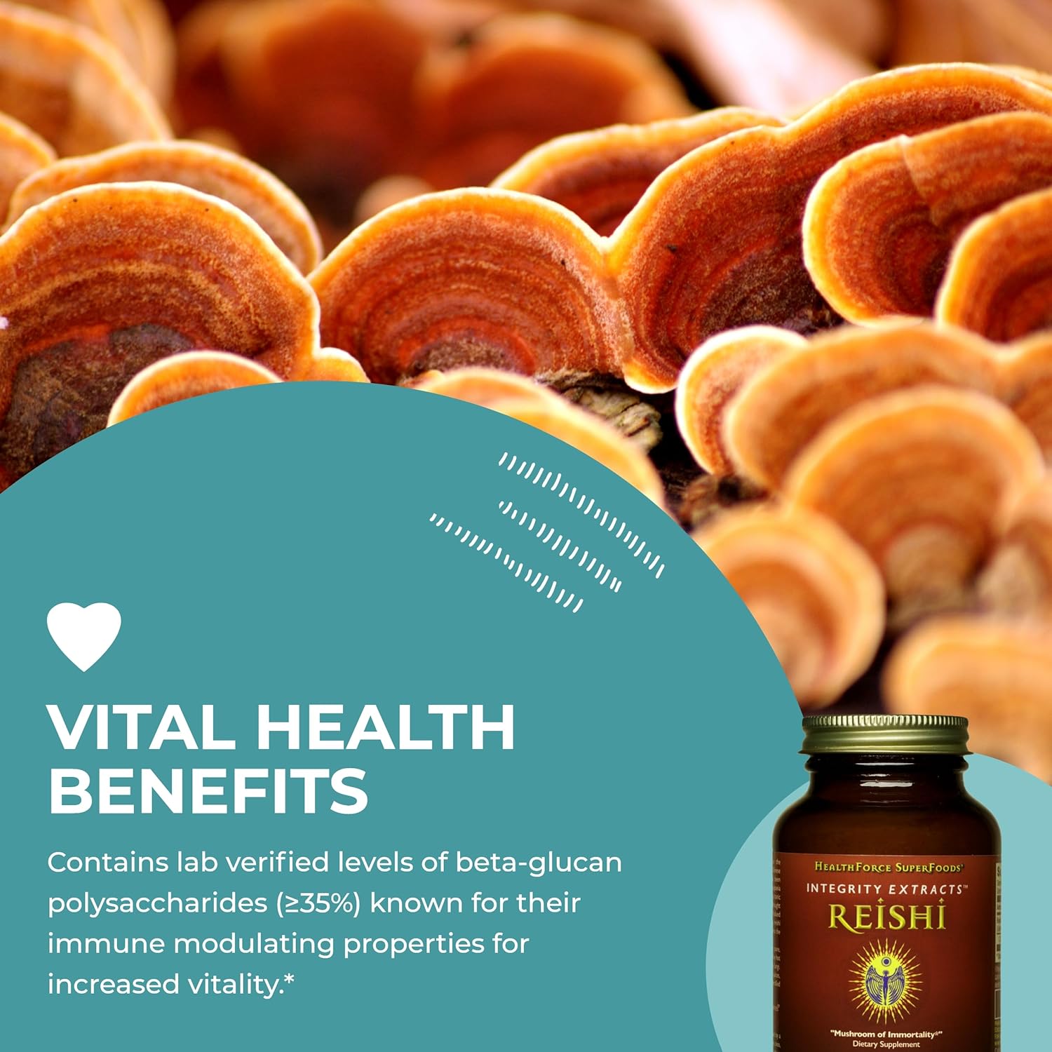 HealthForce SuperFoods Integrity Extracts Reishi Powder - 65g - Organic Mushroom Supplement - Espot.com.au