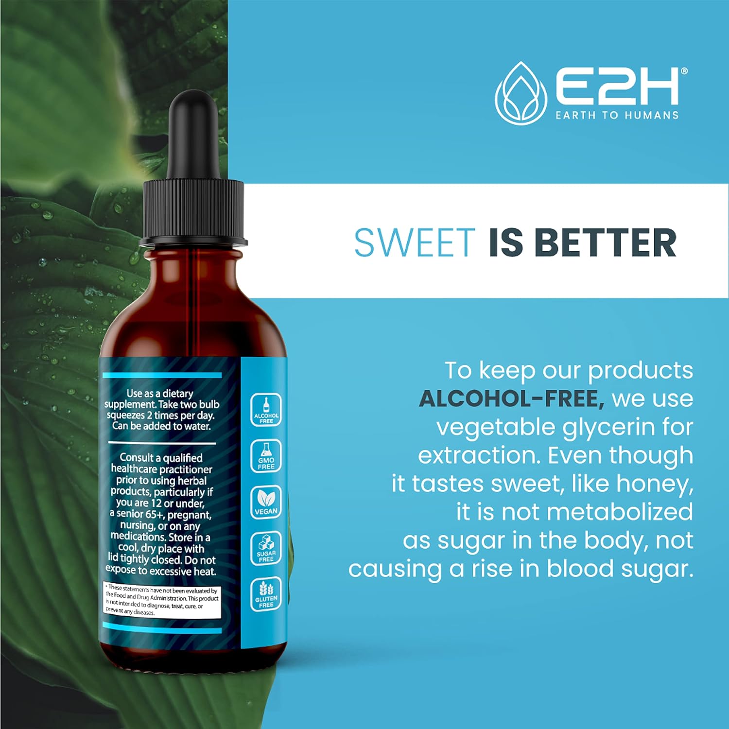 liver-support-turmeric-curcumin-bundle---e2h-earth-to-humans-e2h-2-pack---4-fl-oz-single-bottle---2-fl-oz-vegan-non-gmo-liquid-supplements-6-fl-oz-total-4