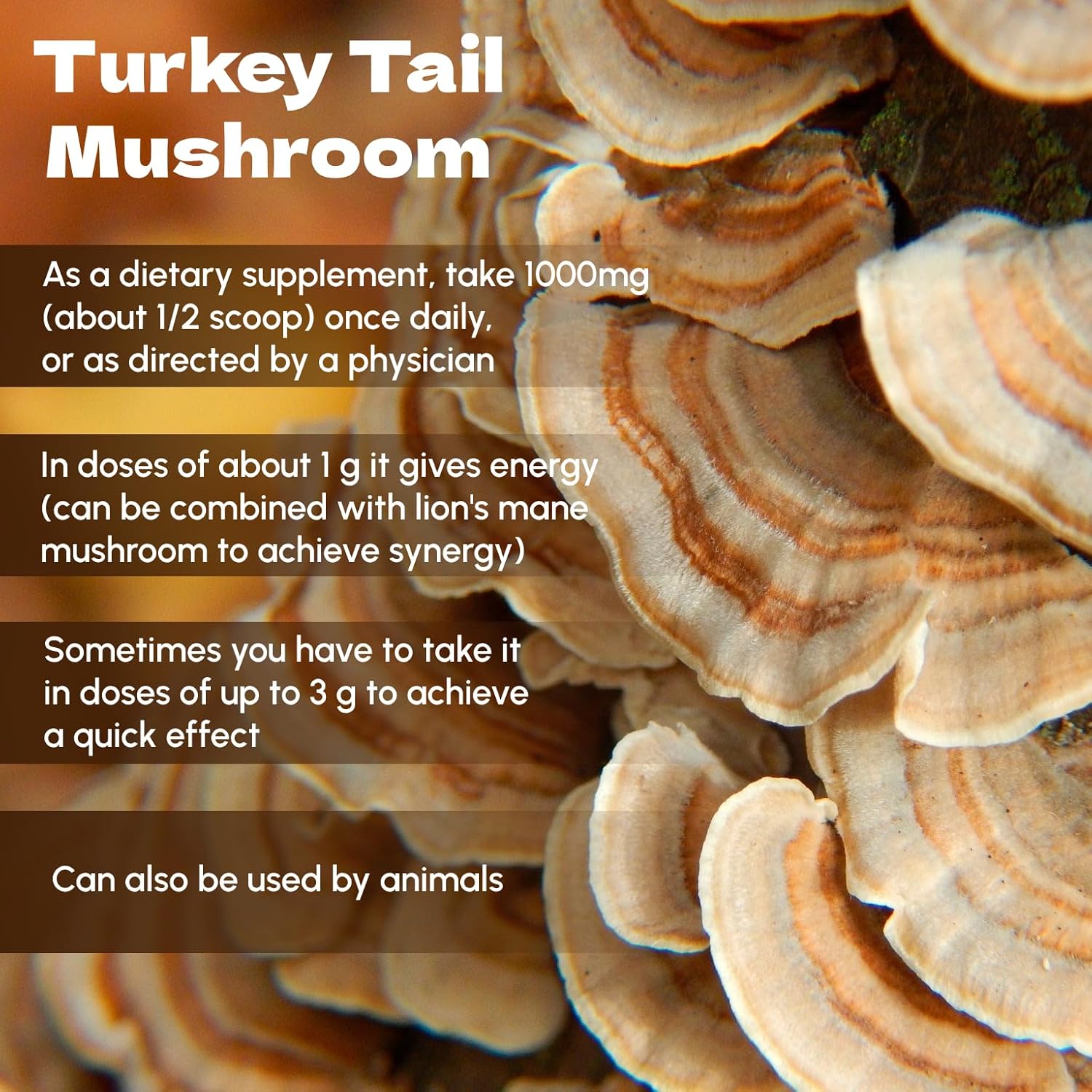 organic-turkey-tail-mushroom-powder-8-oz---natural-mushroom-supplement-with-psp-and-psk---pet-friendly-by-beleon-goods-for-life-4