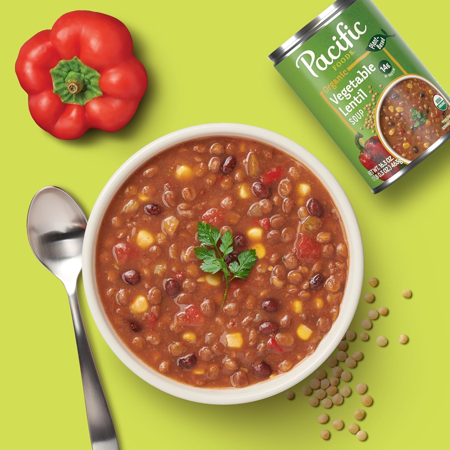 Pacific Foods Organic Vegetable Lentil Soup - 16.3 oz Can - Plant-Based & Delicious - Espot.com.au