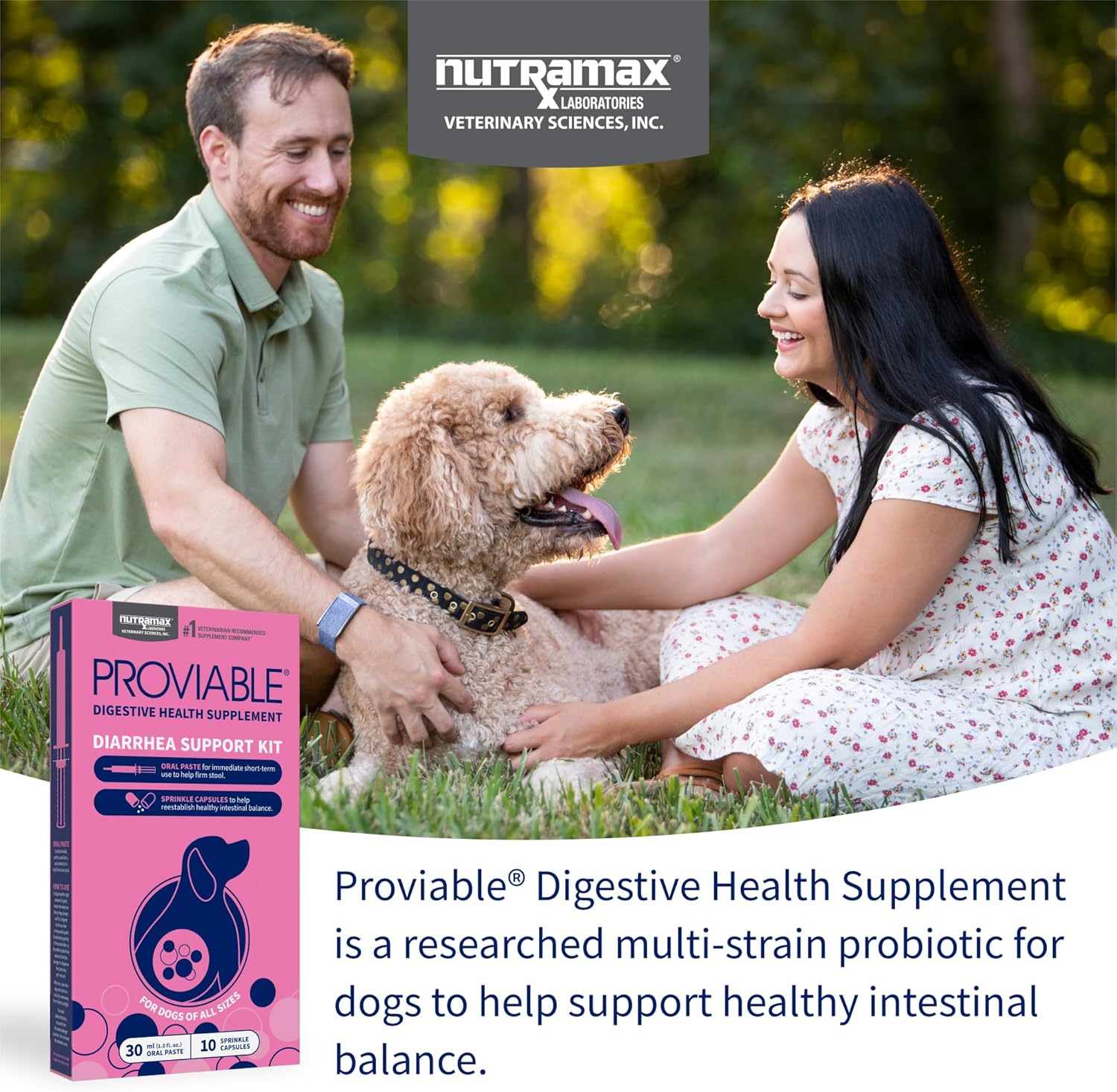 nutramax-laboratories-proviable-digestive-health-supplement-kit-for-medium-to-large-dogs---multi-strain-probiotics-and-prebiotics-7-bacteria-strains-30-ml-paste-10-capsules-3