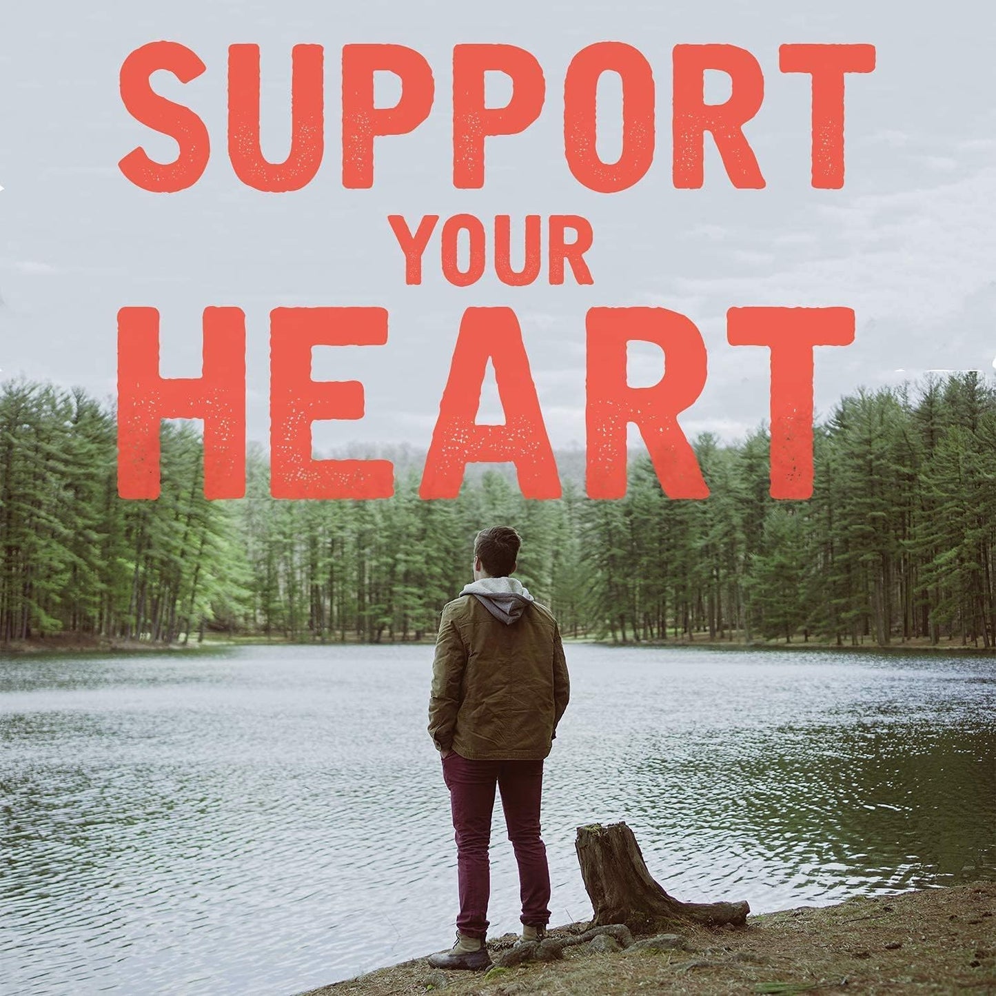 organic-coq10-zen-blend-for-calmness-and-energy---30-capsules-6