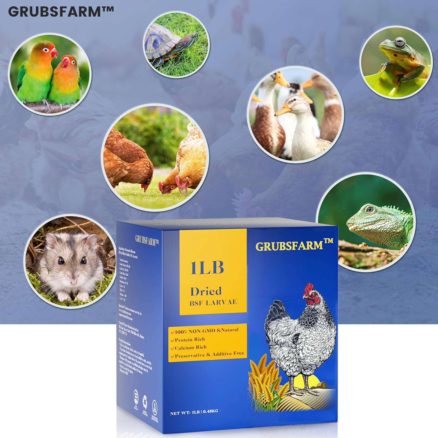 premium-dried-black-soldier-fly-larvae-for-chickens-1lb---high-calcium-supplement-for-molting-laying-hens---non-gmo-bsf-larvae-treats---superior-to-mealworms-6