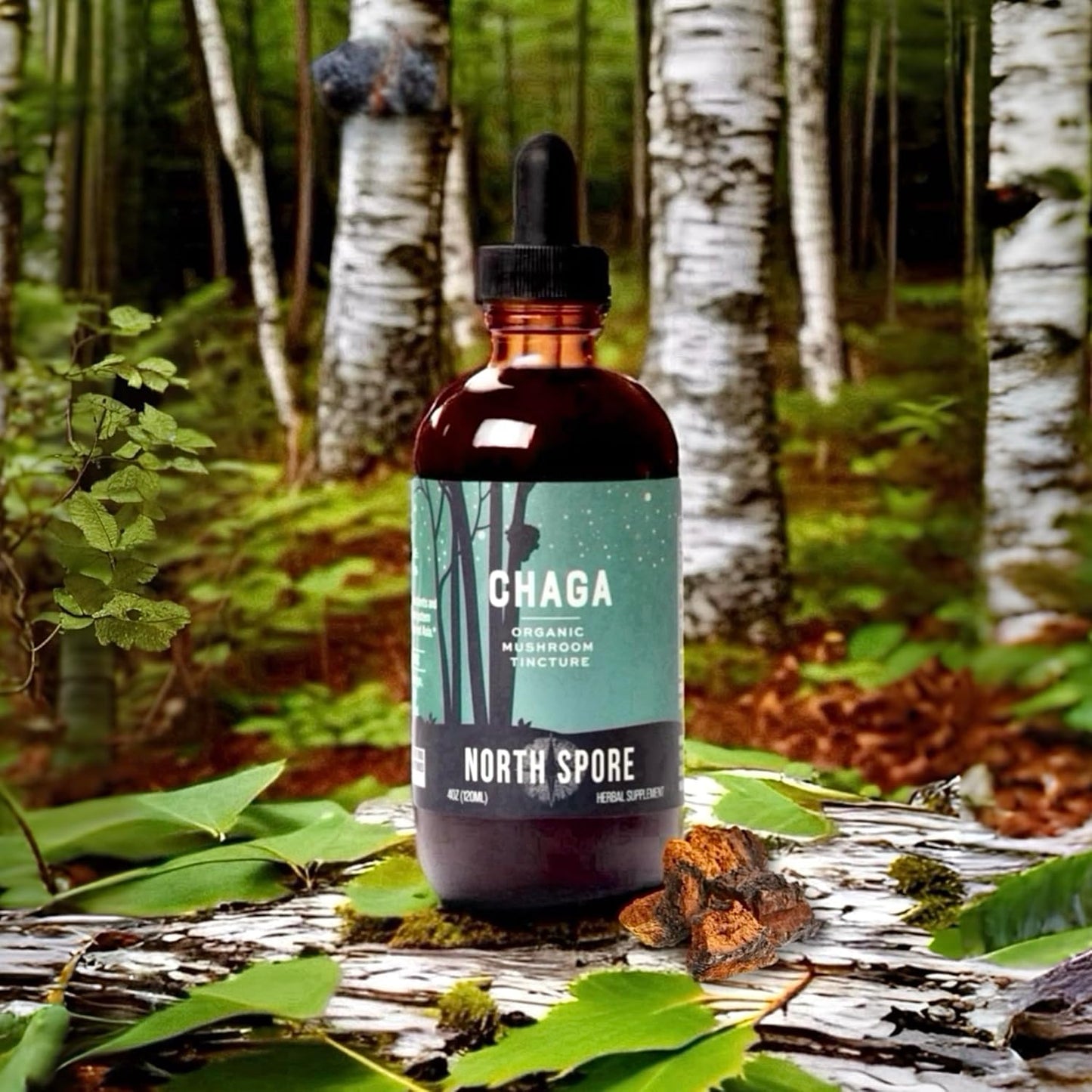 organic-chaga-mushroom-tincture-4-oz-immune-support-energy-boost-100-fruiting-body-extracts-certified-organic-vegan-non-gmo-adaptogenic-nootropic-made-in-usa-4