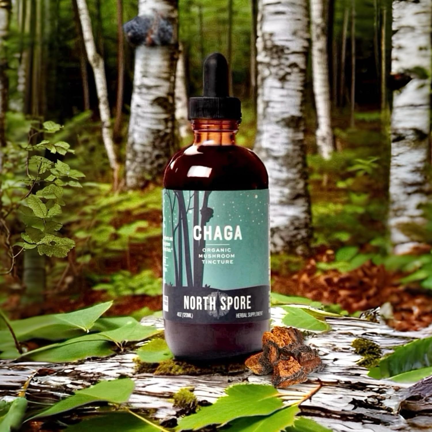 organic-chaga-mushroom-tincture-4-oz-immune-support-energy-boost-100-fruiting-body-extracts-certified-organic-vegan-non-gmo-adaptogenic-nootropic-made-in-usa-4