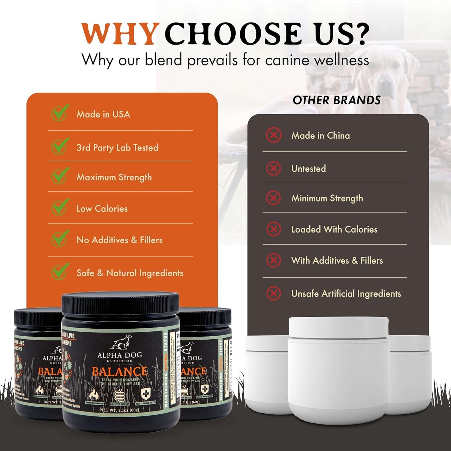 alpha-dog-nutrition-balance-probiotic-blend-for-canines---gut-health-supplement-with-probiotics-and-prebiotics-7
