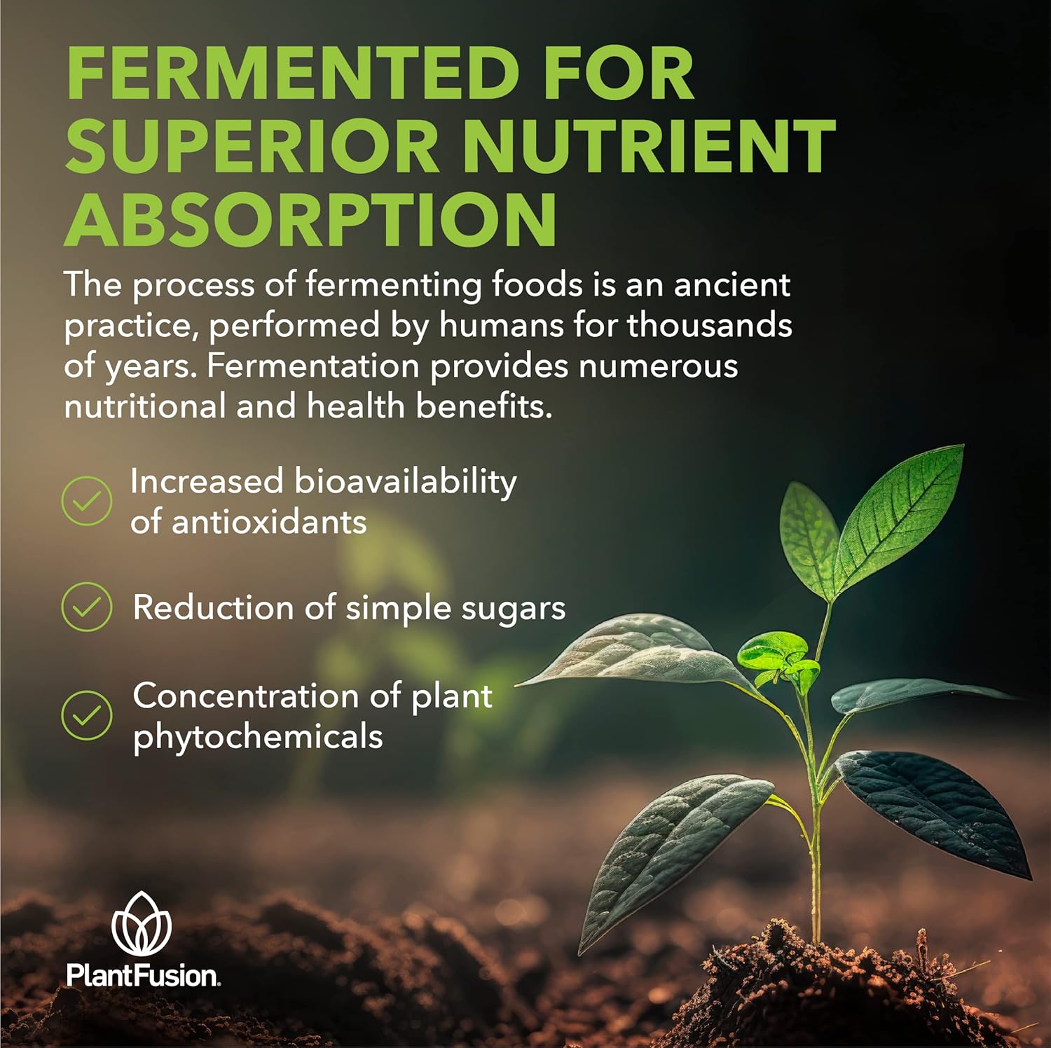 plantfusion-organic-beet-root-powder---boost-blood-flow-circulation---whole-food-nutrition---non-gmo-vegan-gluten-free---634-oz-5