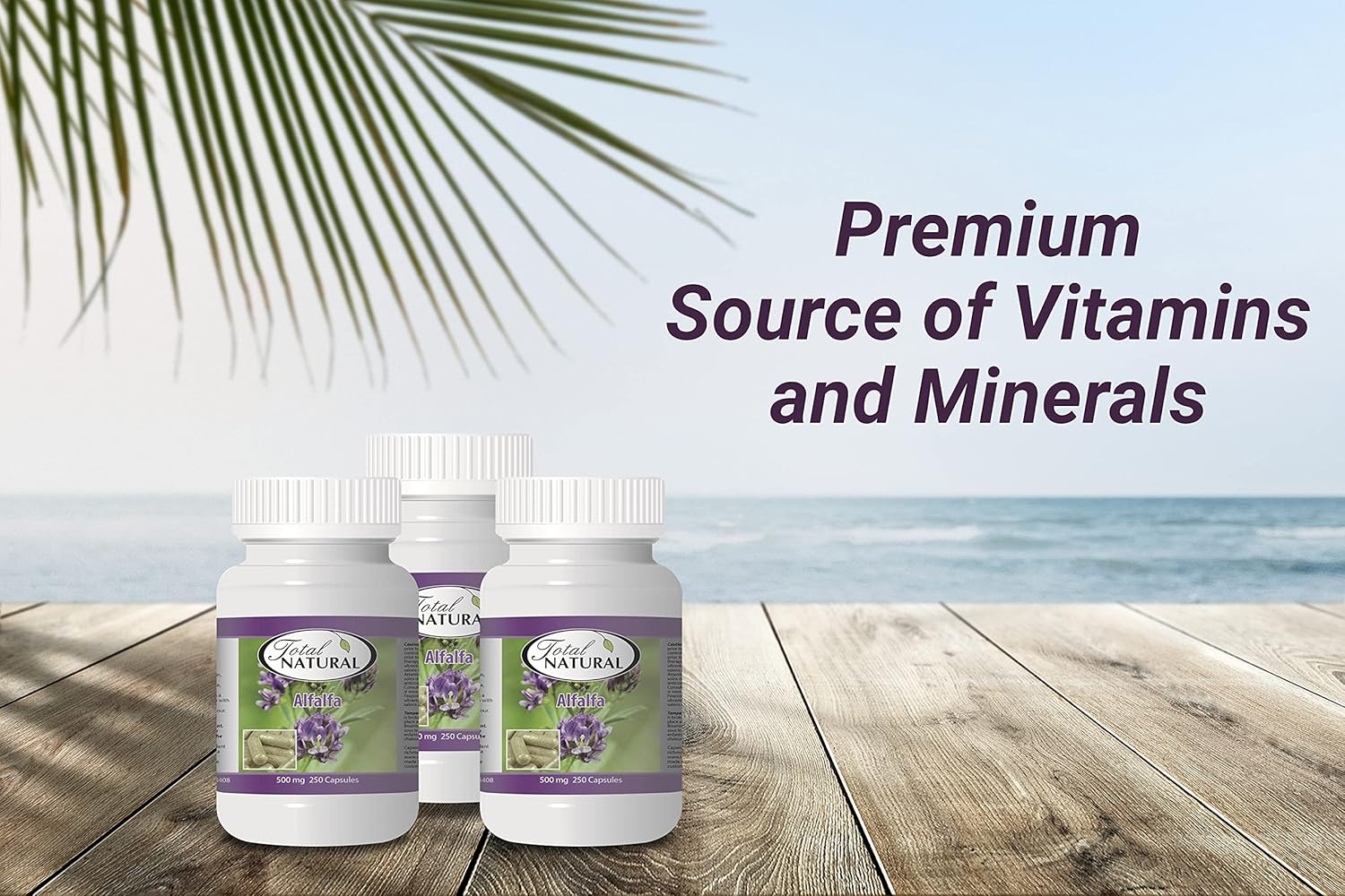 natural-alfalfa-supplement-500mg---250-capsules-promotes-energy-digestive-health---rich-in-vitamins-trace-minerals---1-bottle-5