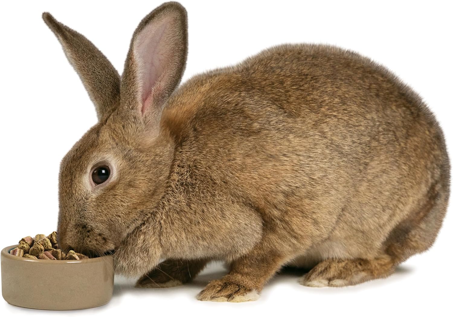 nutritious-kaytee-fieldforest-rabbit-food---4lb-bag-for-health-and-vitality-10