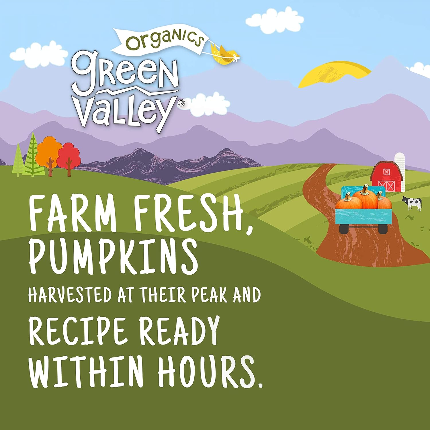 certified-organic-pumpkin-puree-100-dickinson-variety-sweet-earthy-flavor-firm-smooth-texture-vibrant-autumn-orange-american-grown-15-oz-pack-of-4-6