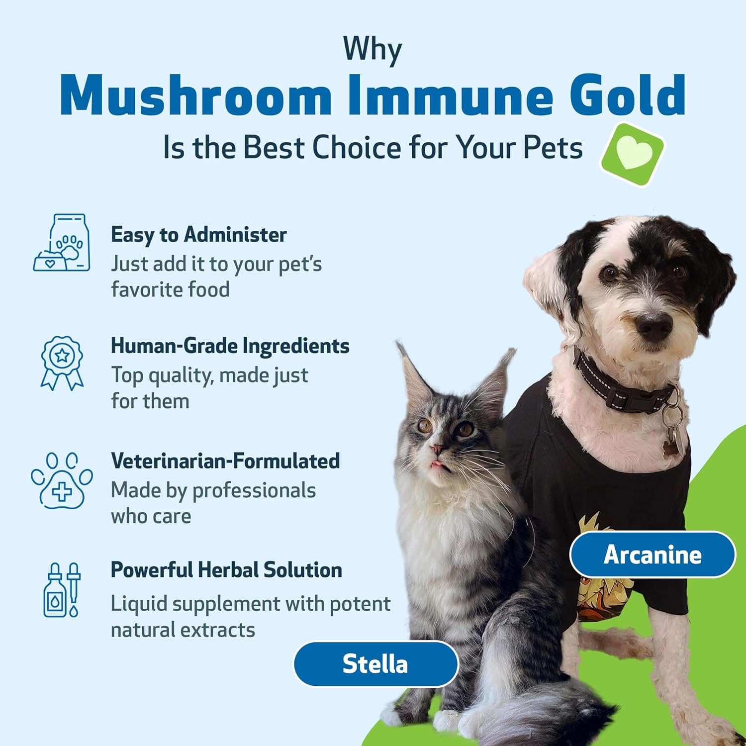 natural-mushroom-immune-support-for-dogs-and-cats---pet-wellbeing-immune-gold---8oz-bottle---boost-your-pets-immune-system-5