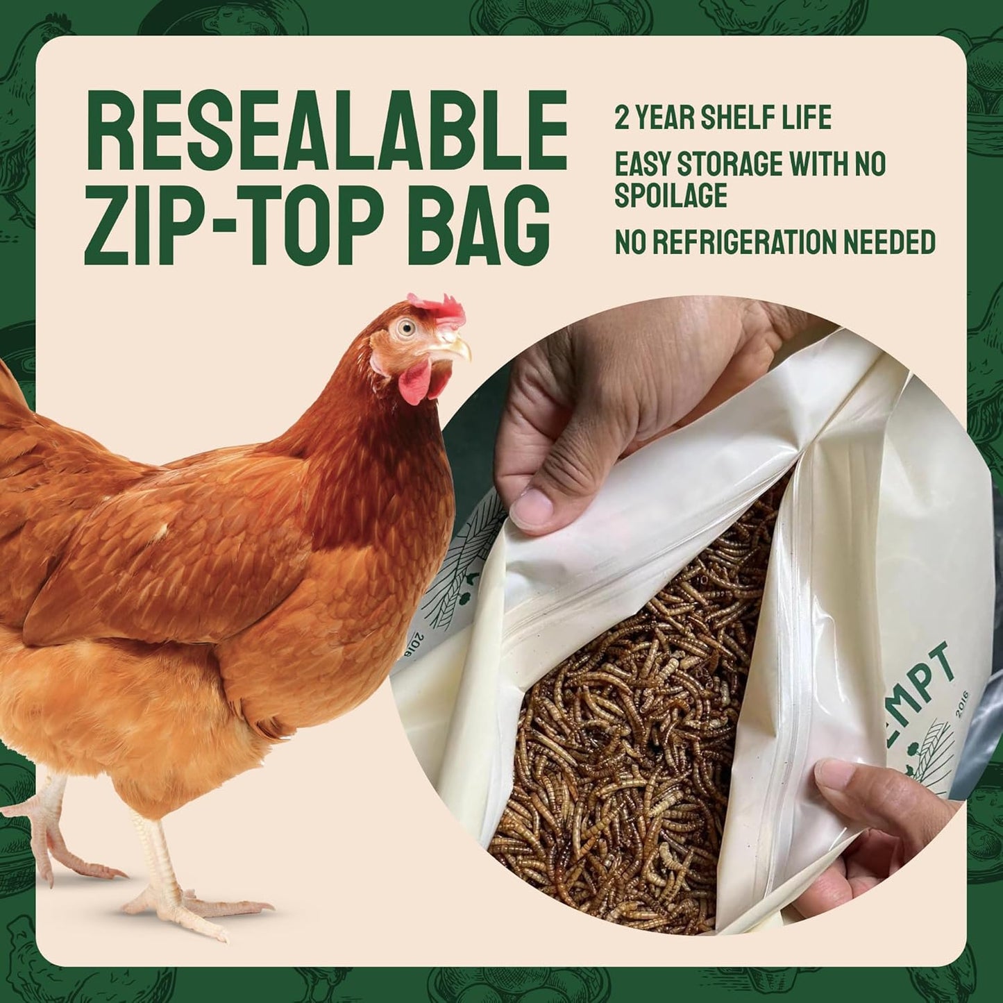 organic-non-gmo-dried-mealworms-10-lbs---chicken-feed-treats-for-laying-hens---bulk-mealworms-for-birds---premium-chick-feed-supplement-4