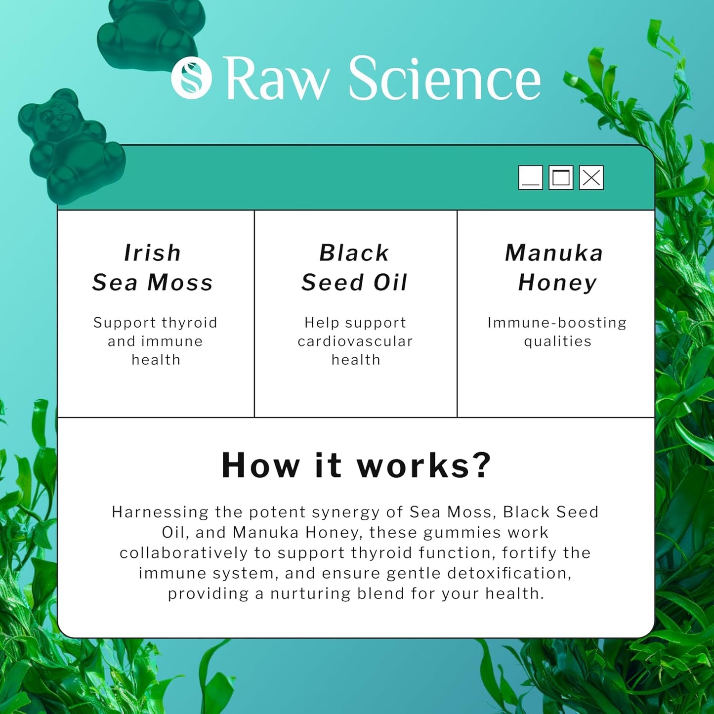 immune-support-sea-moss-gummies-with-black-seed-oil-manuka-honey---thyroid-detox-supplement-for-women-men---60-gummies-4