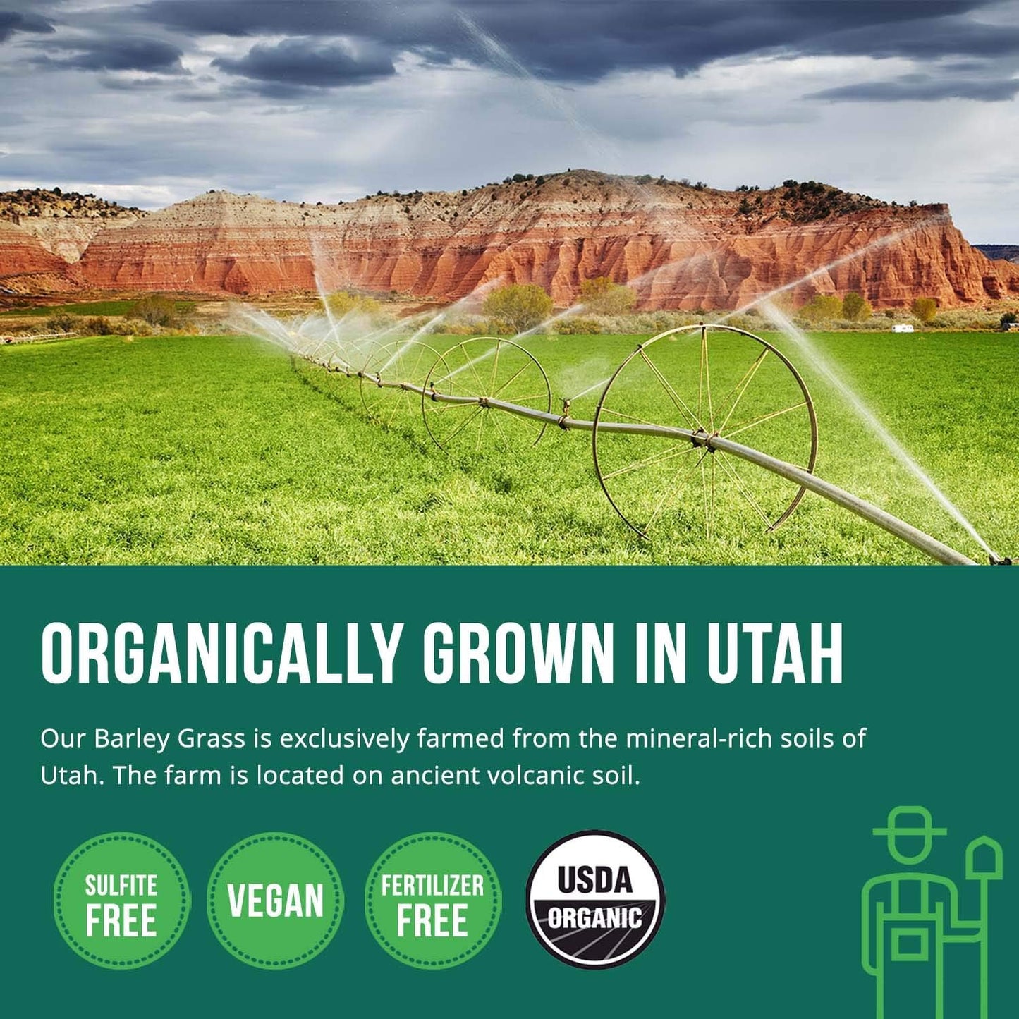 Organic Wheatgrass & Barley Grass Juice Powder - USA Grown in Volcanic Utah Soil, Raw Form, 5.3 oz - Espot.com.au